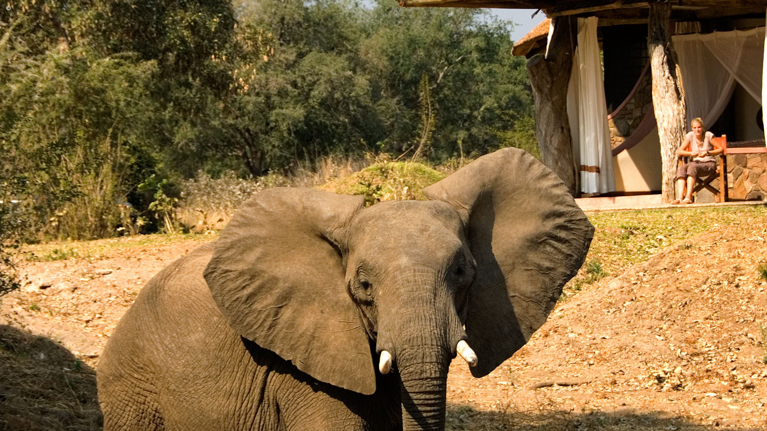Luangwa Safari House