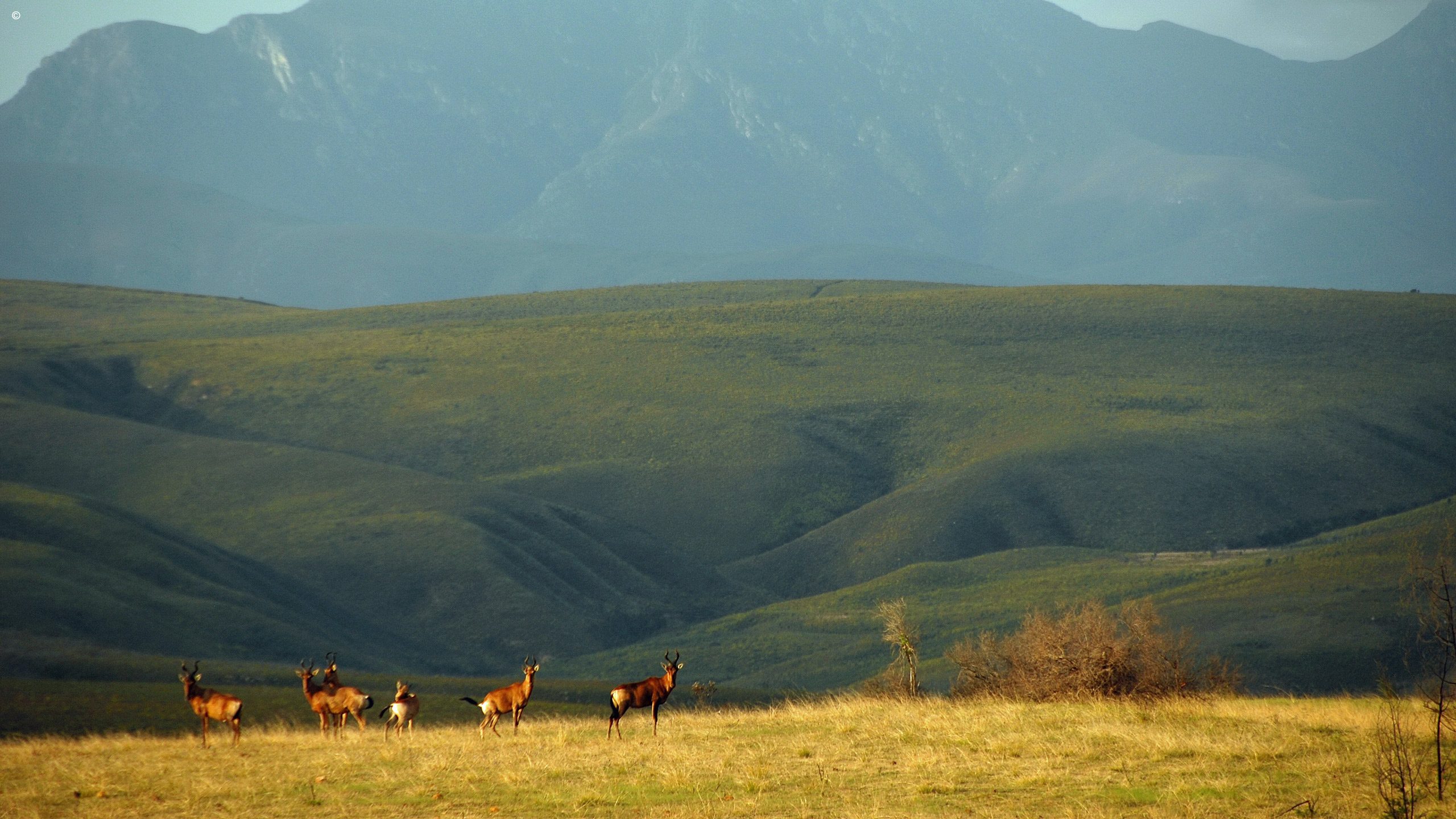 Gondwana Private Game Reserve