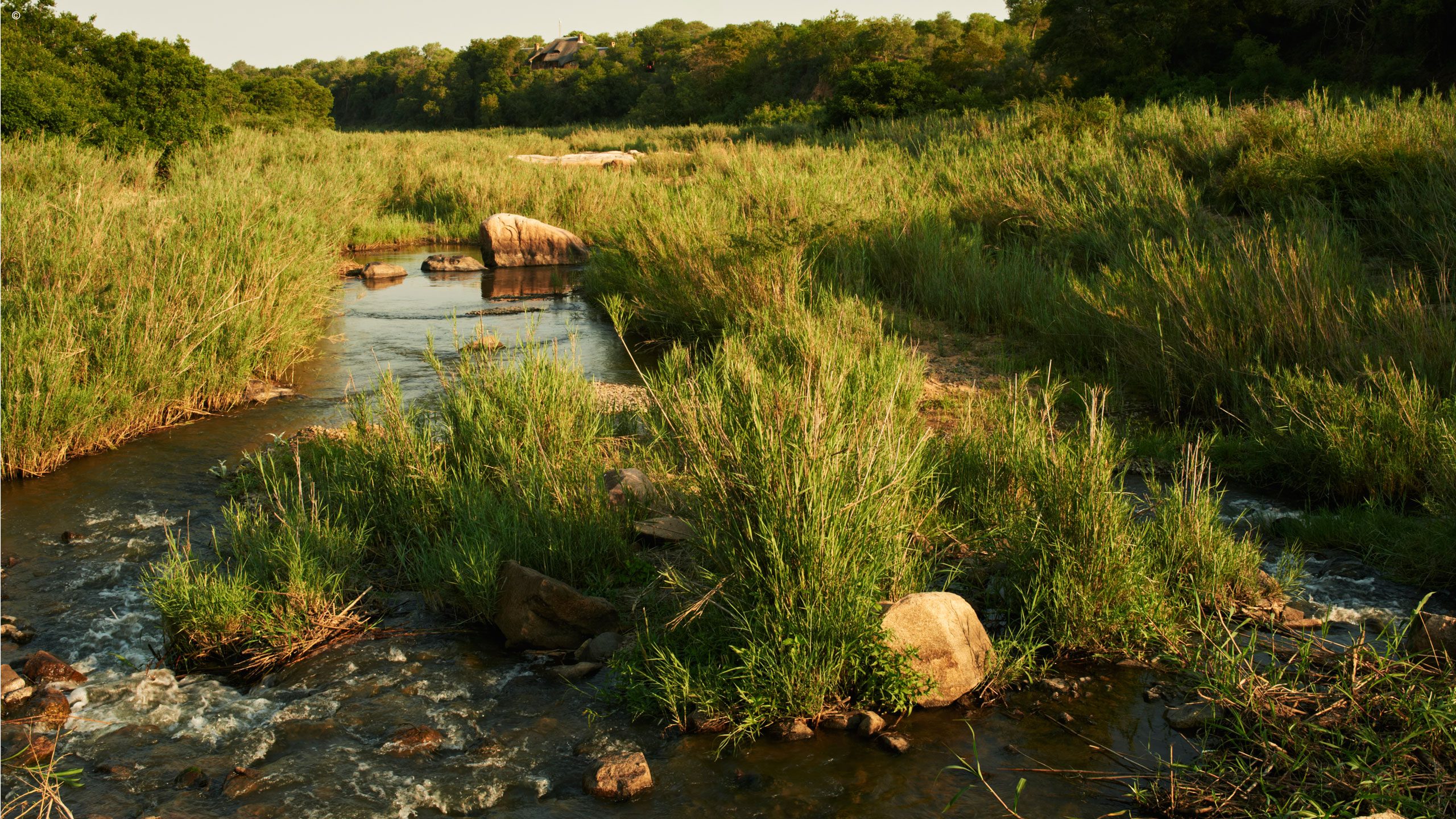 Singita Ebony Lodge