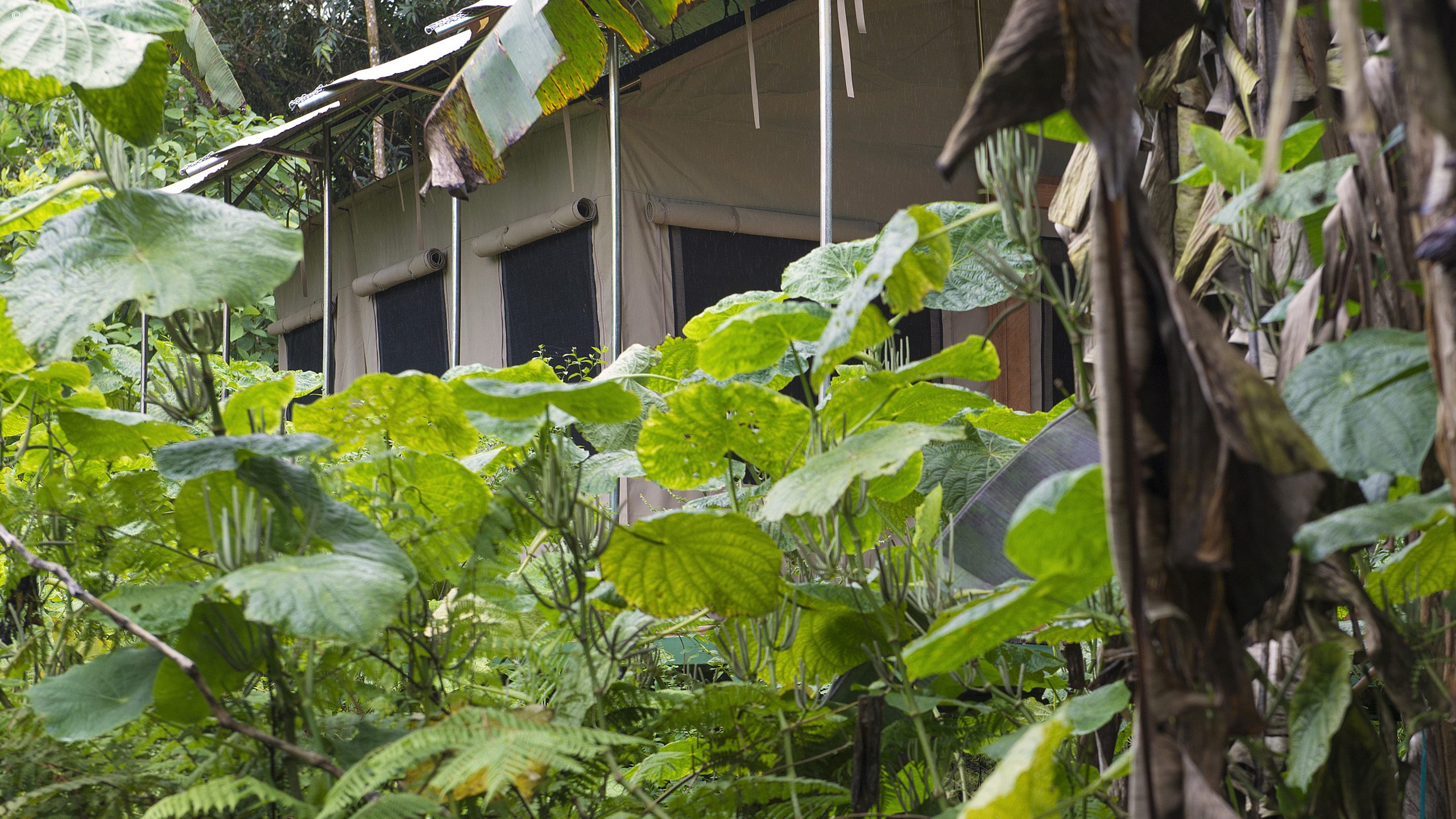 Scalesia Galapagos Lodge