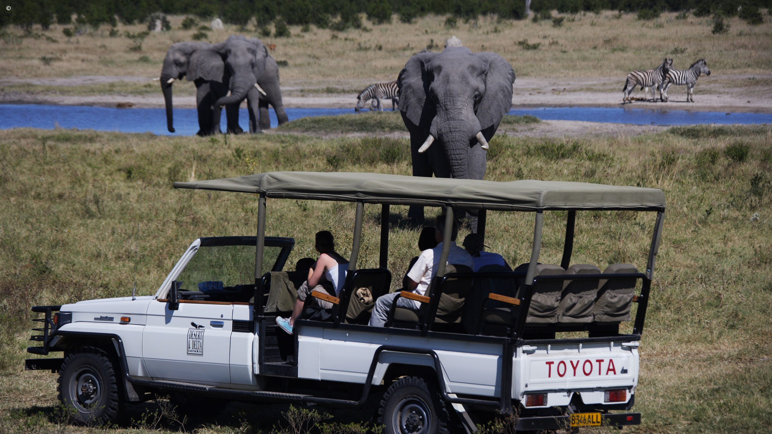 Savute Safari Lodge