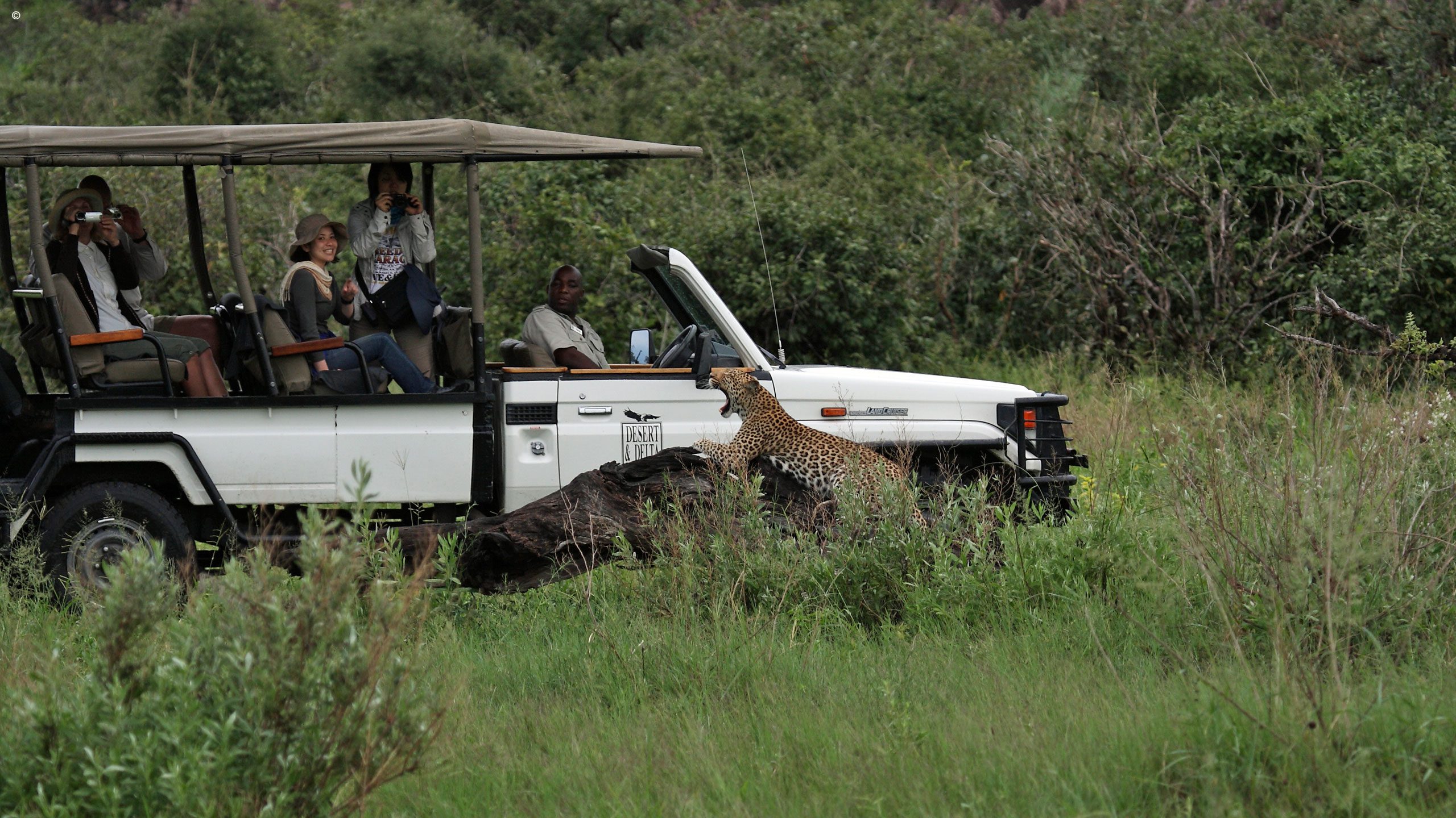 Savute Safari Lodge