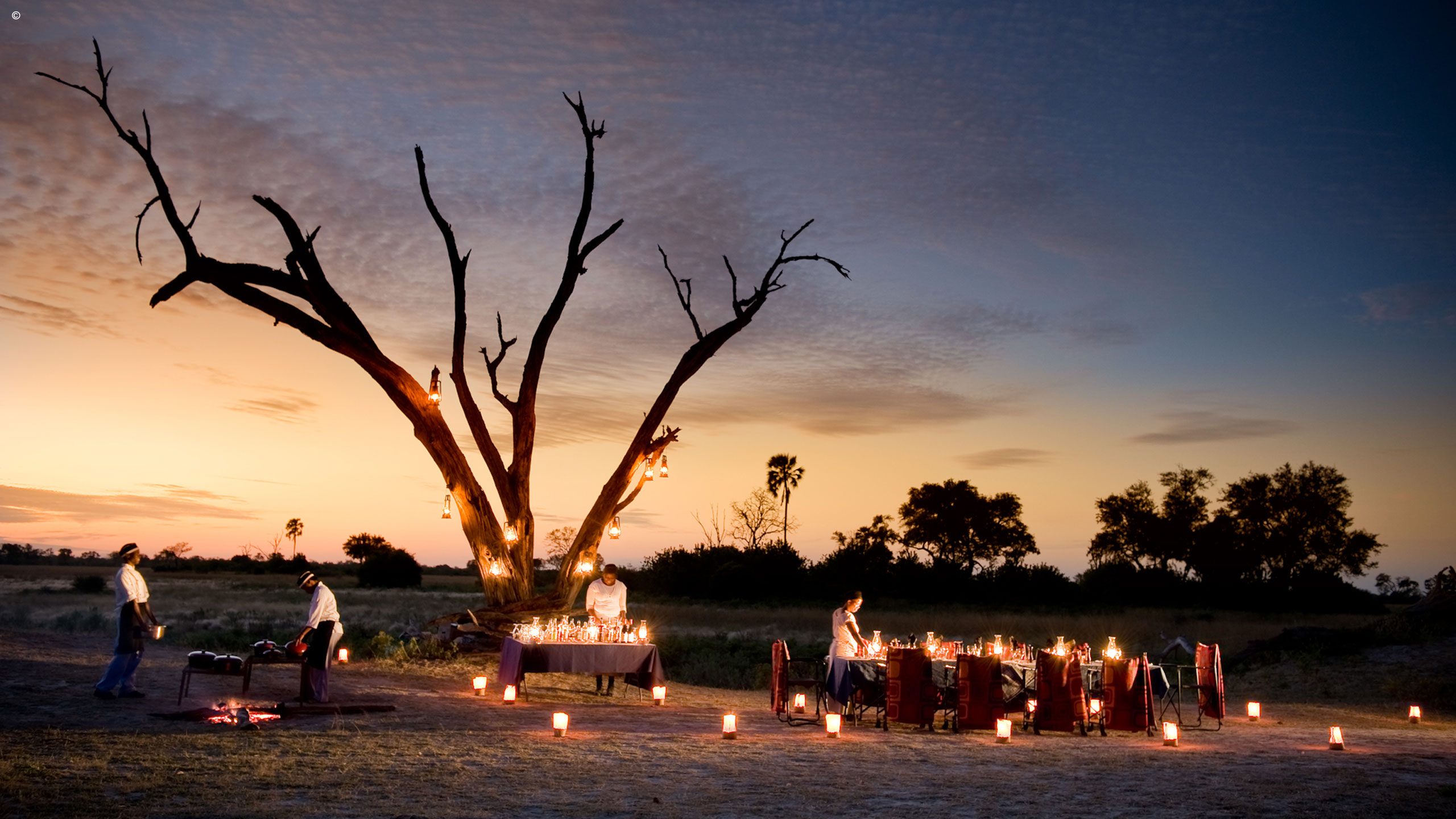 Selinda Camp