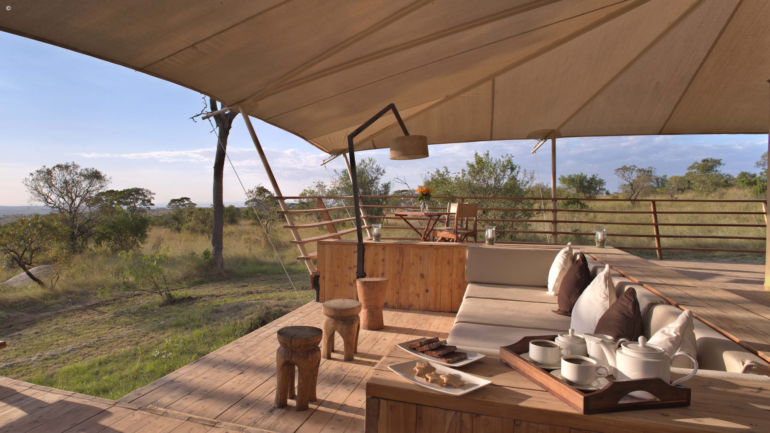 Serengeti Bushtops