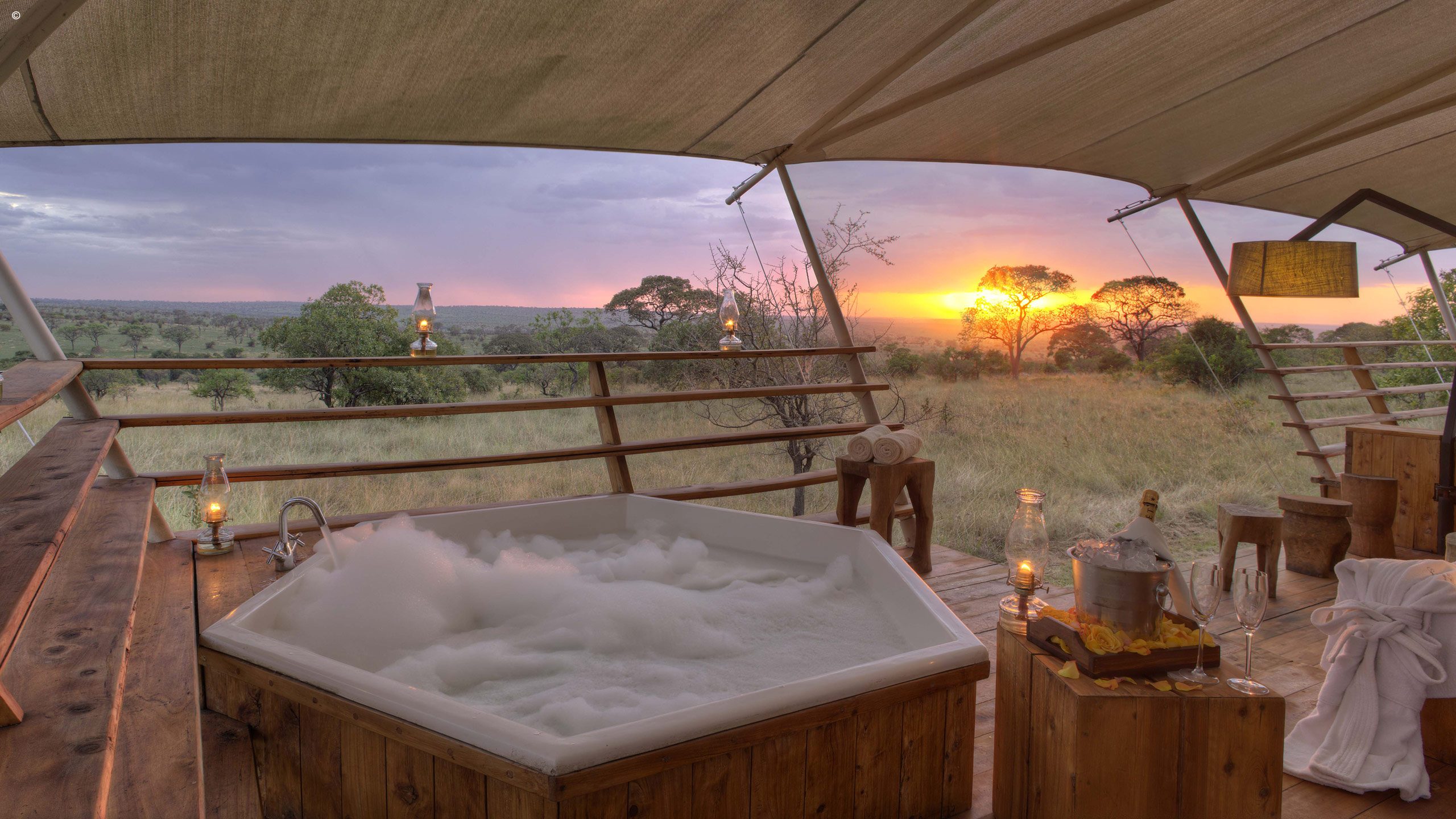 Serengeti Bushtops