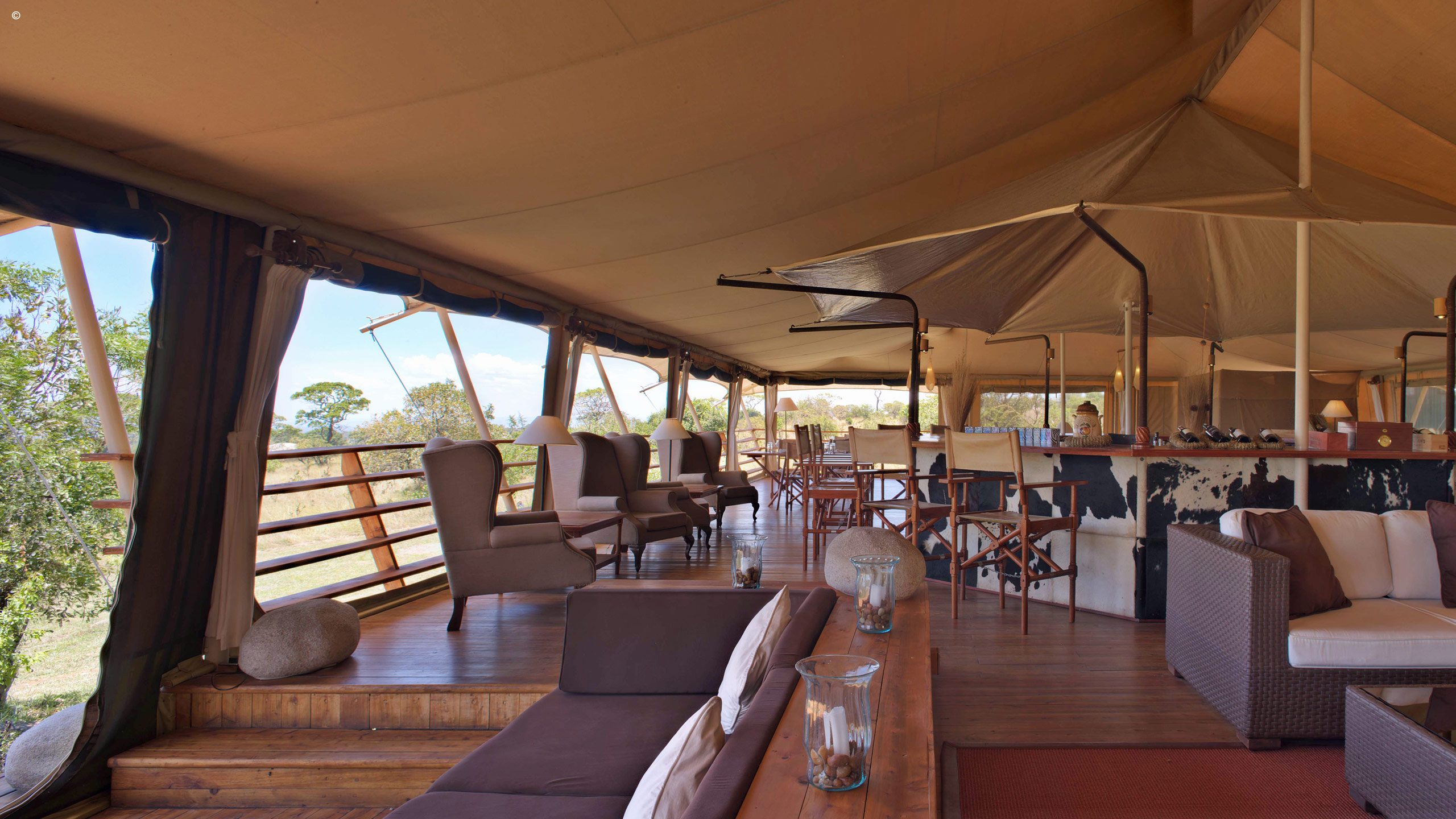 Serengeti Bushtops