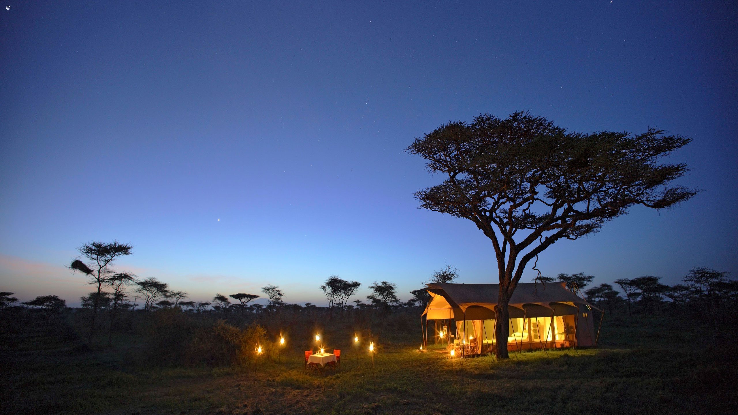 Serengeti Under Canvas