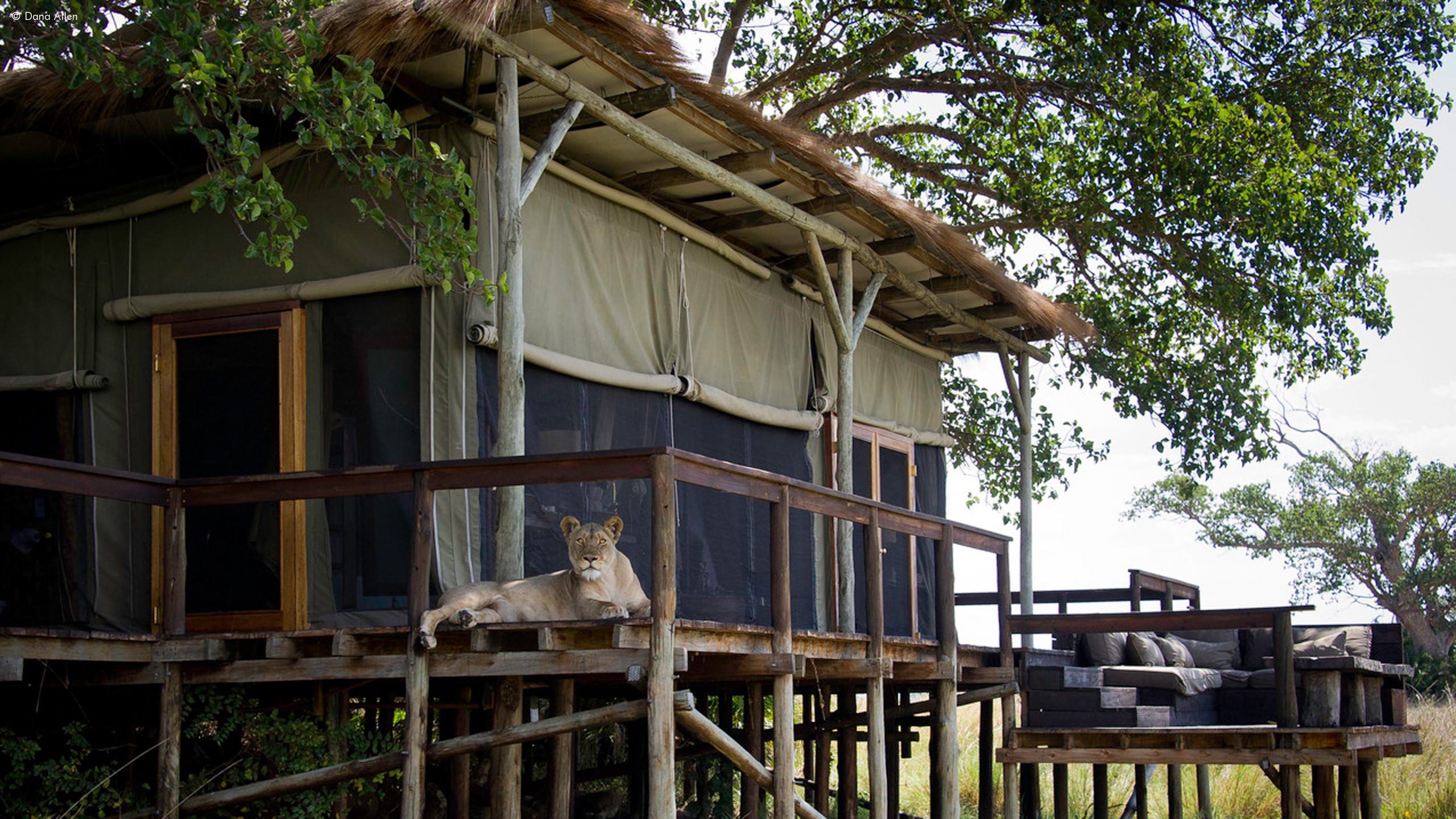 Wilderness Shumba Camp