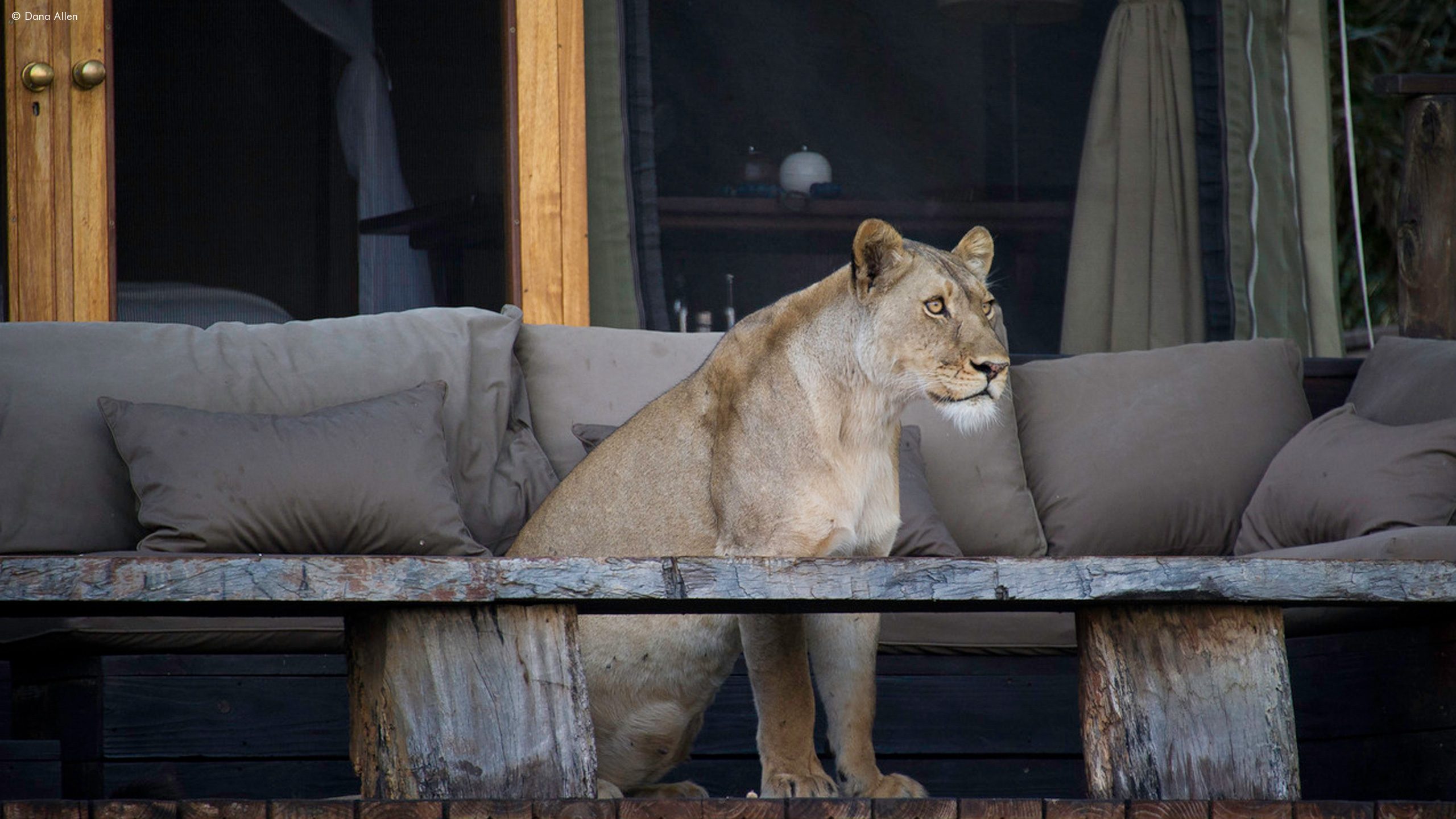 Wilderness Shumba Camp