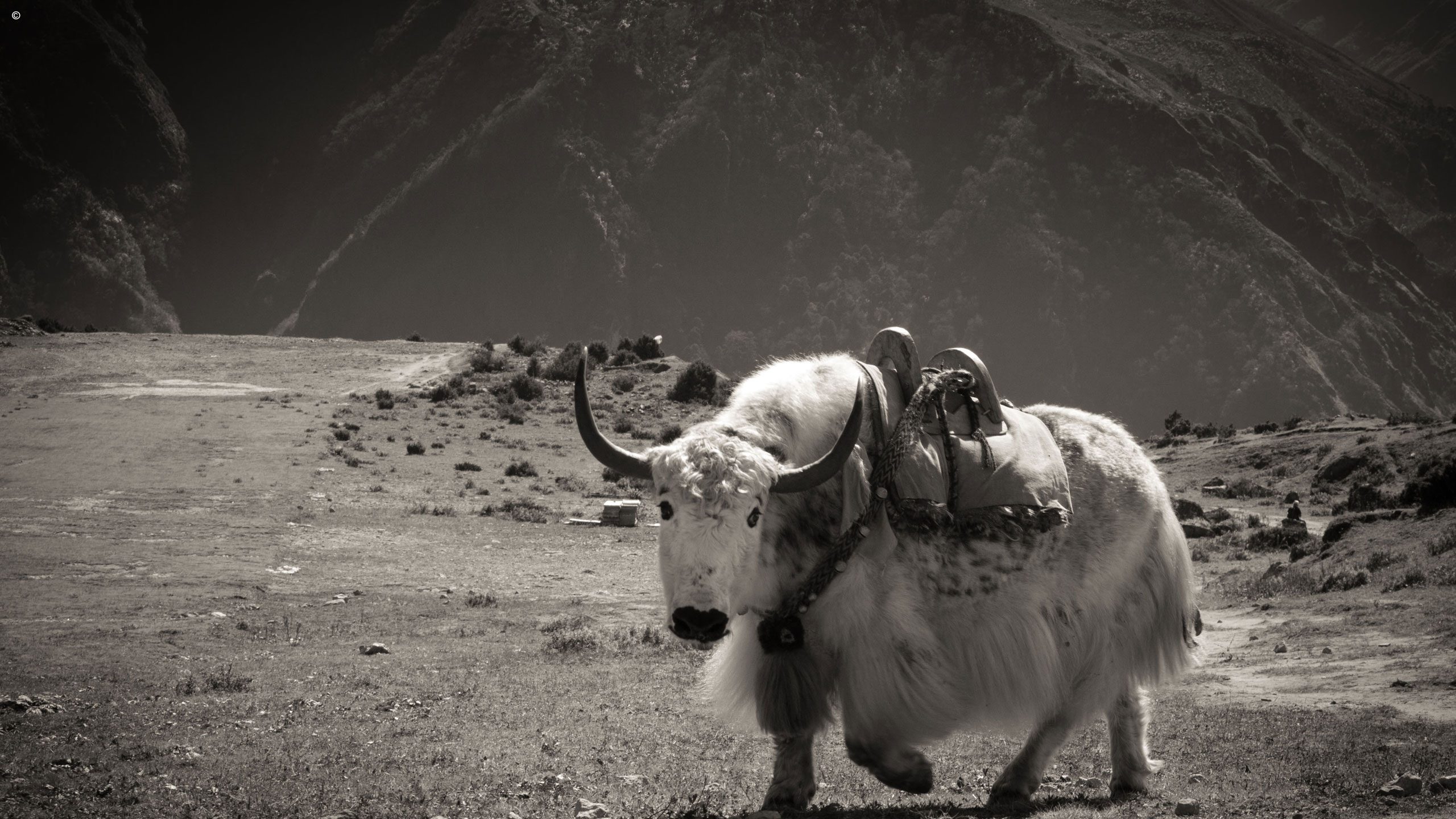 Yeti Mountain Home Namche