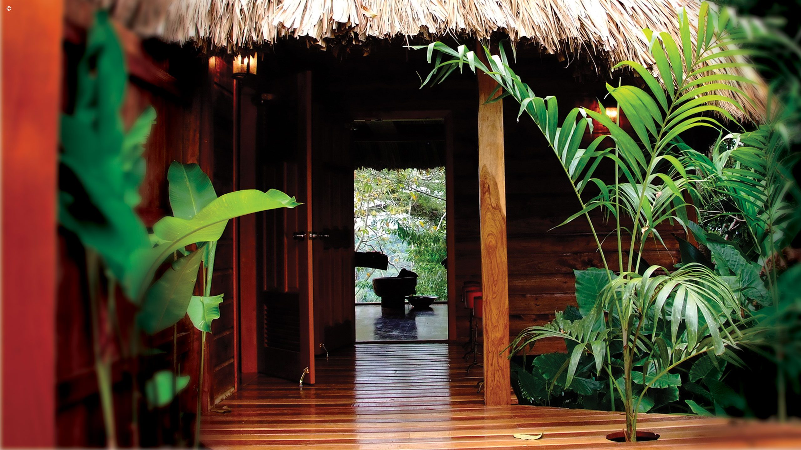 Copal Tree Lodge