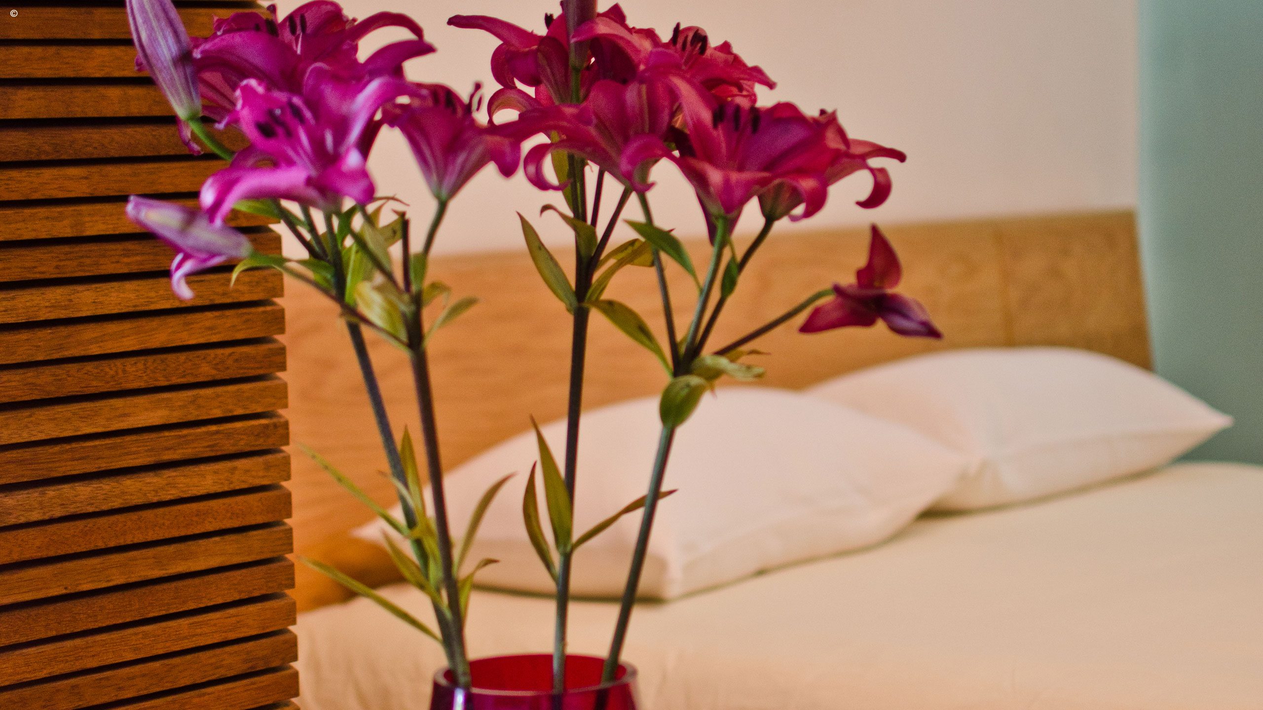 Hotel Azul