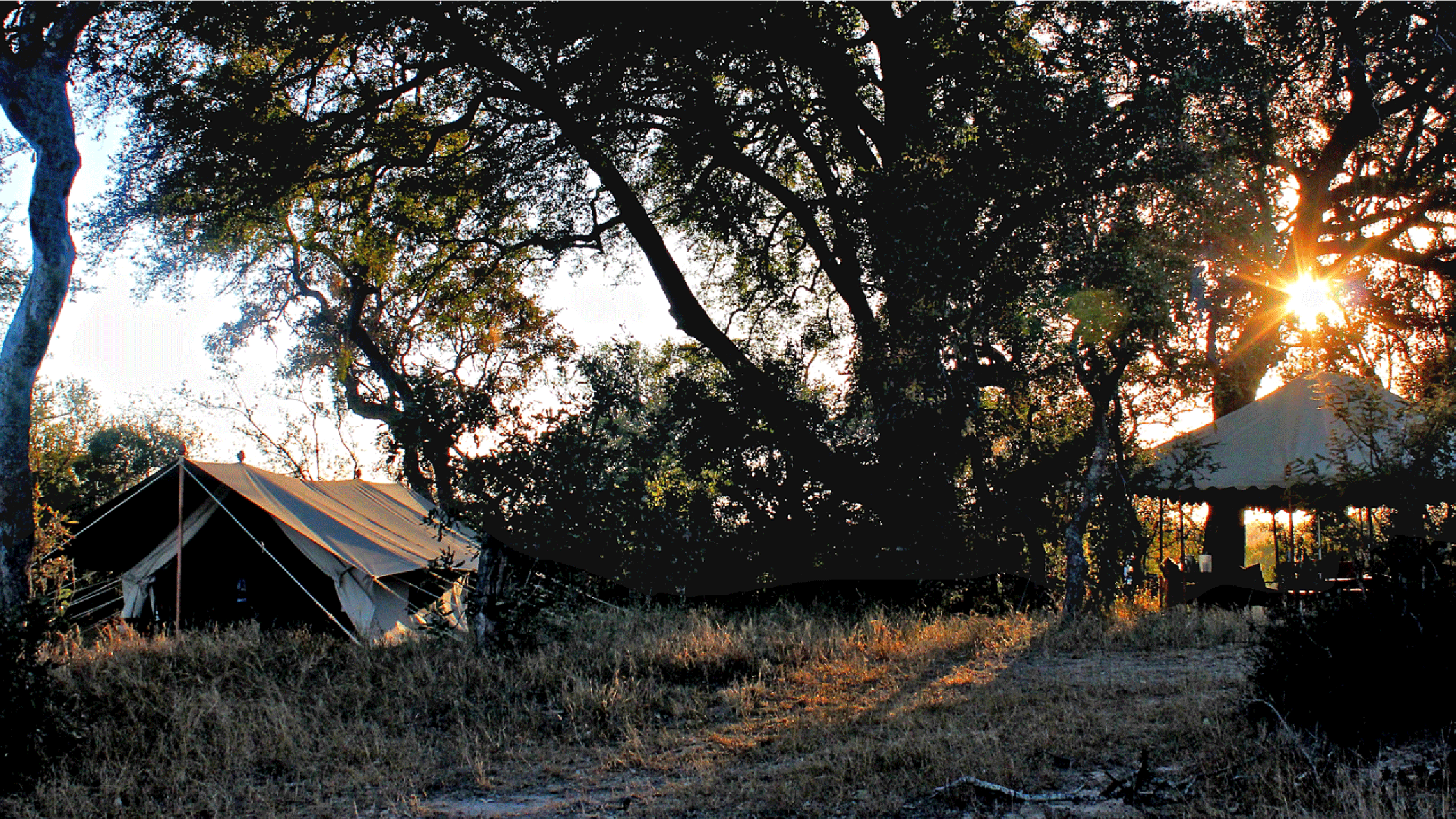 Field Camp