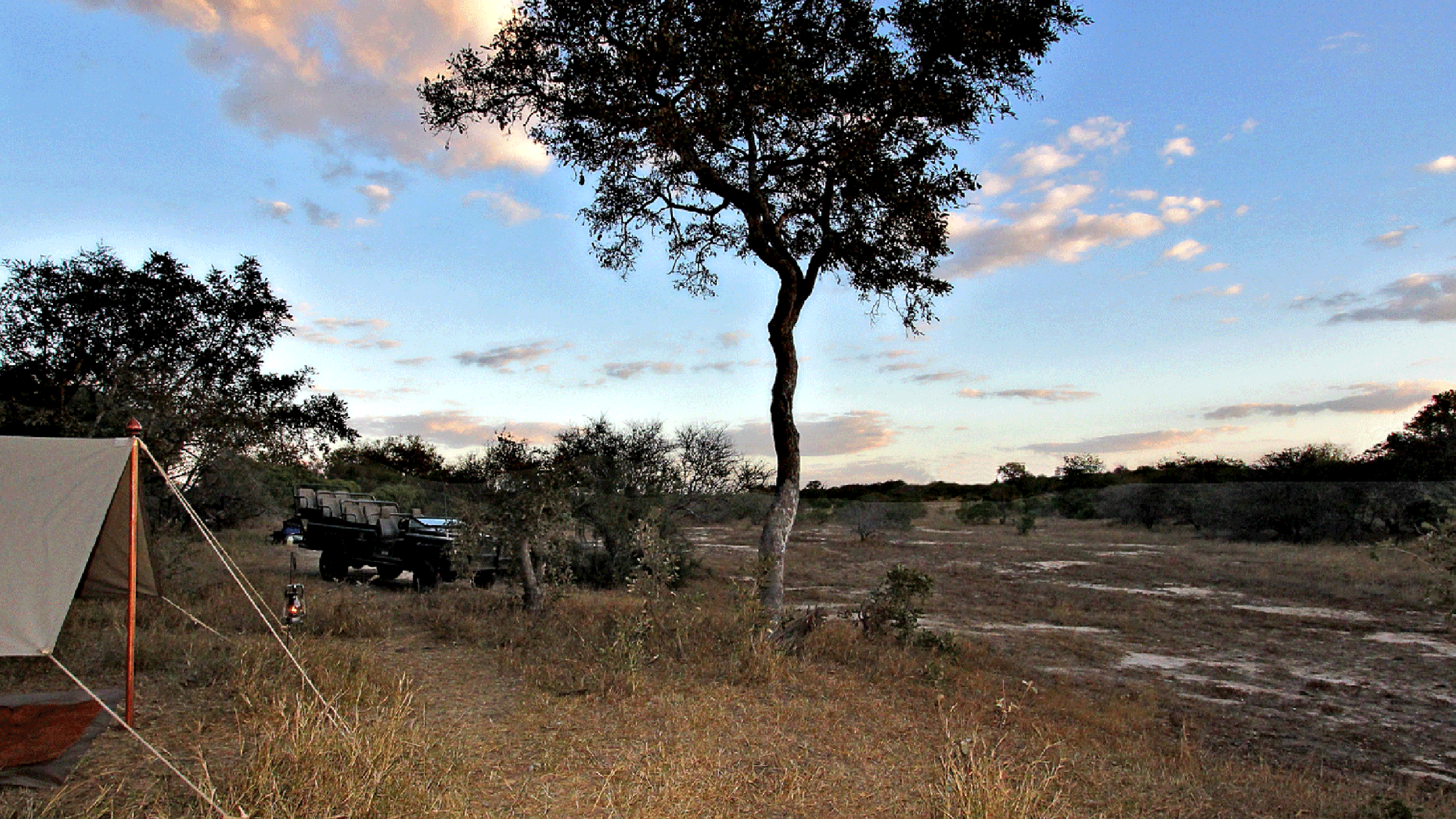 Field Camp