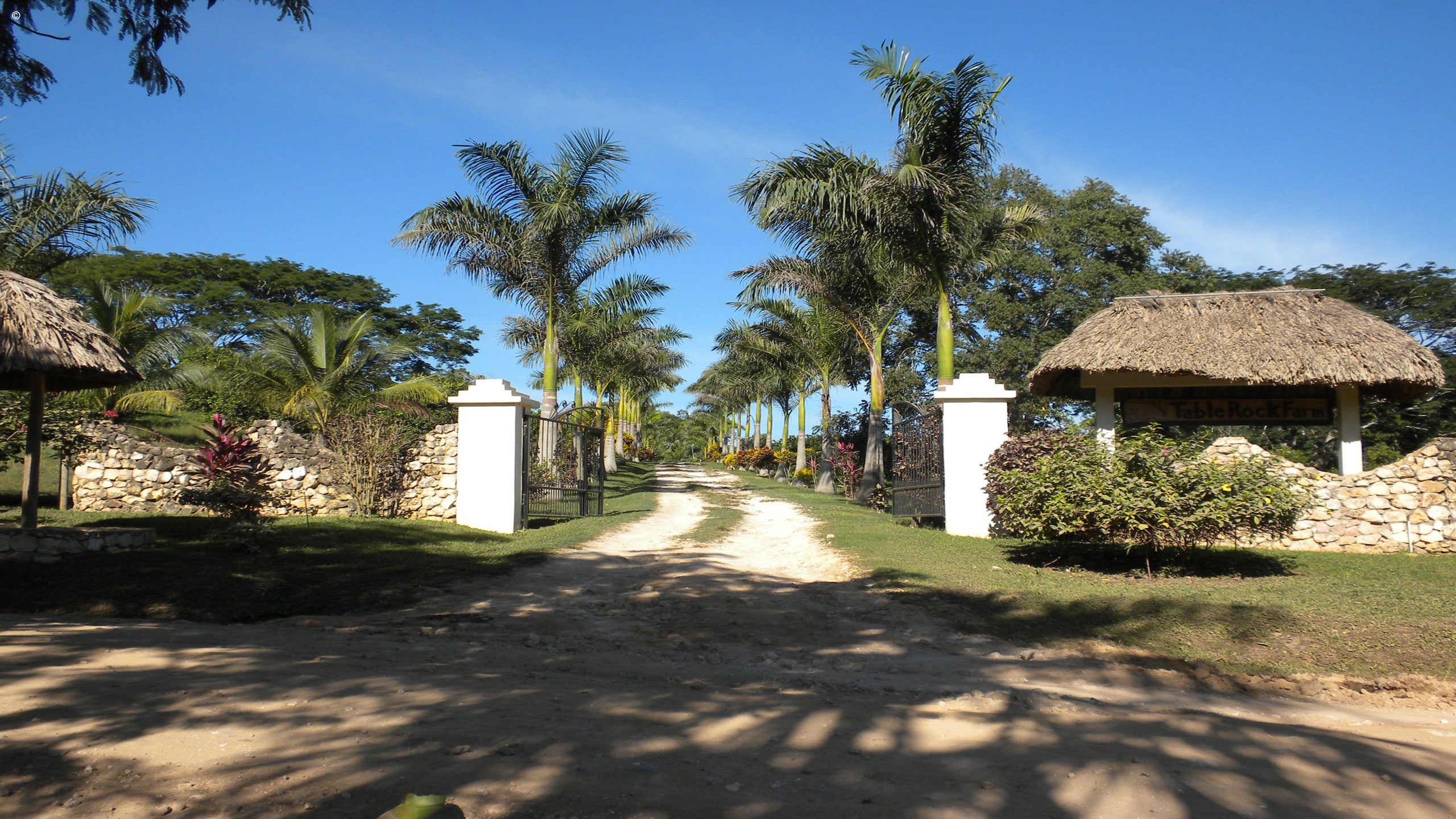 Table Rock Jungle Lodge