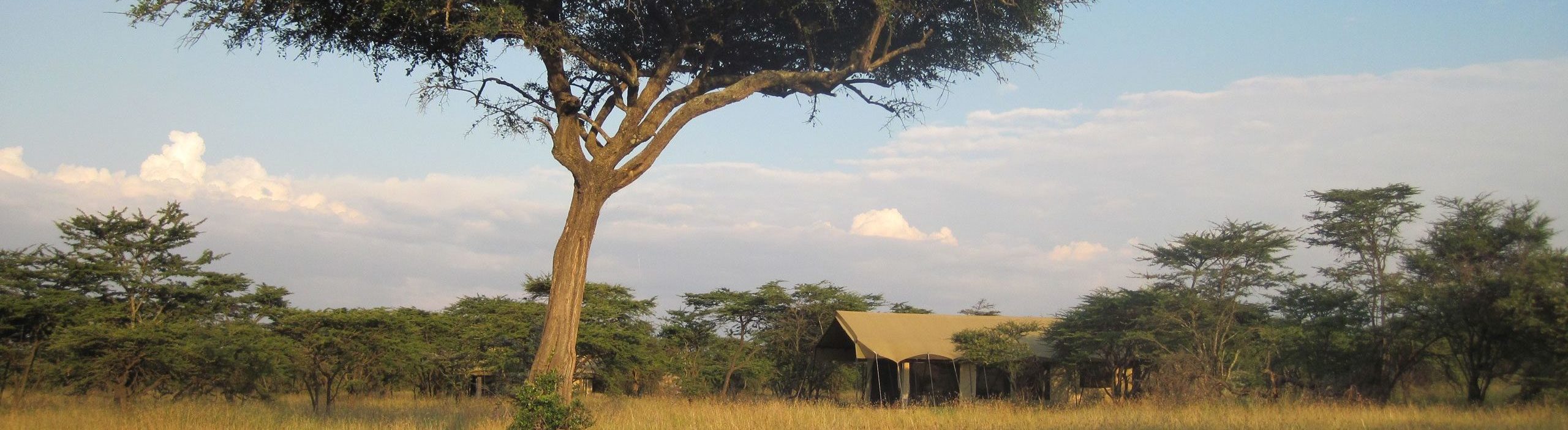 Naboisho Camp