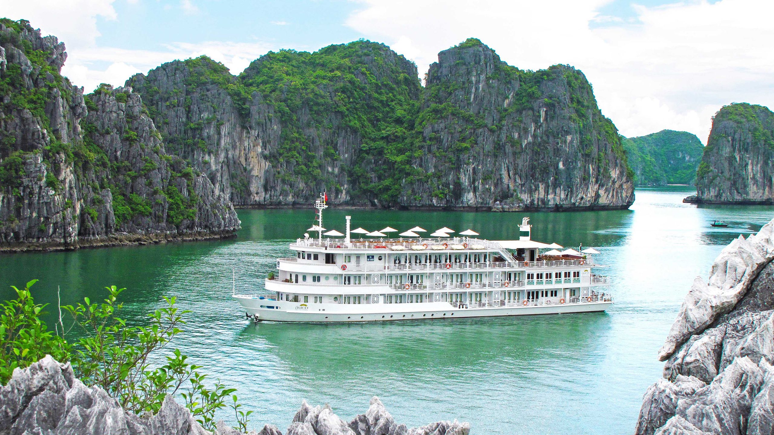 Au Co Cruise