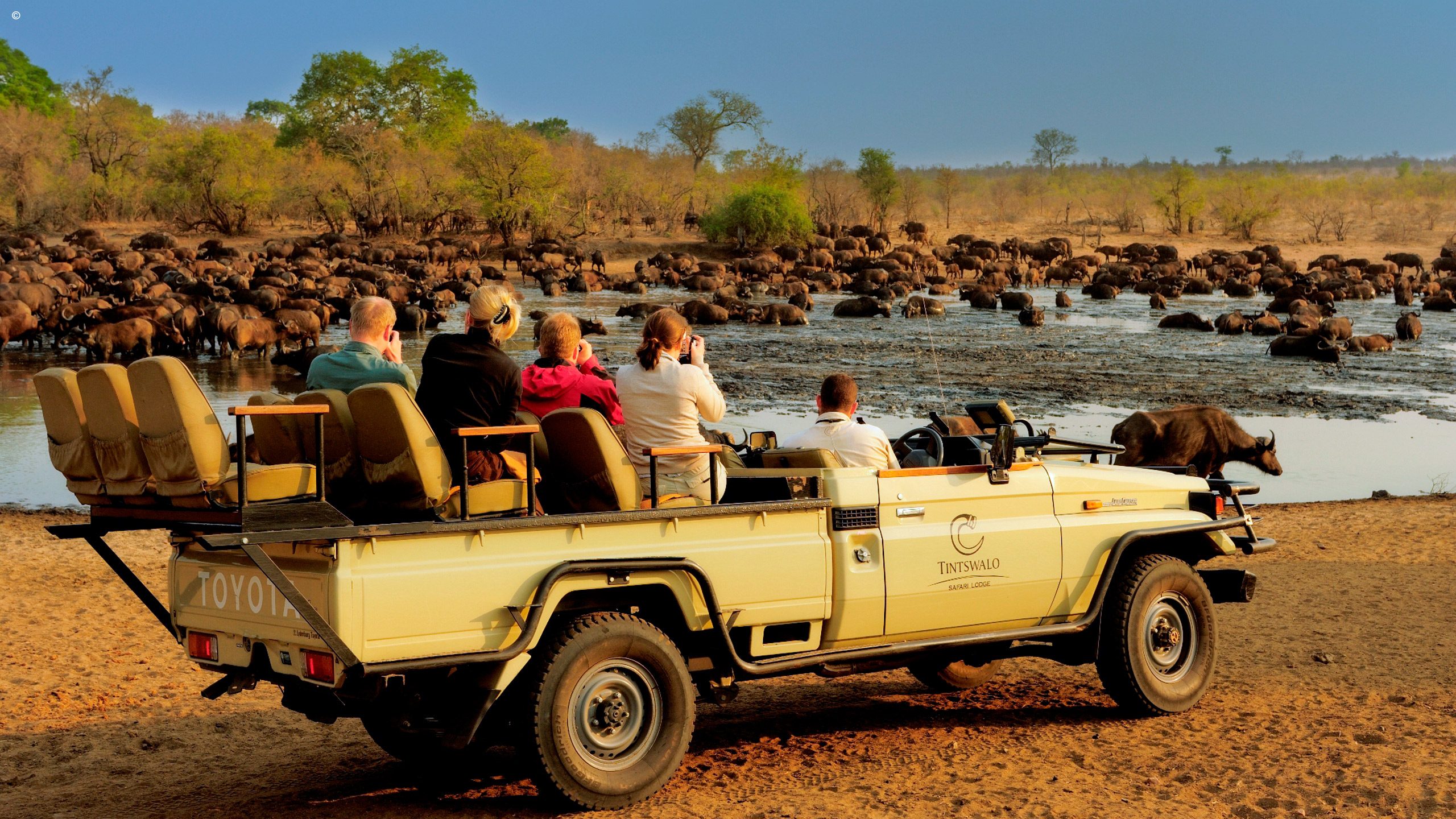 Tintswalo Safari Lodge