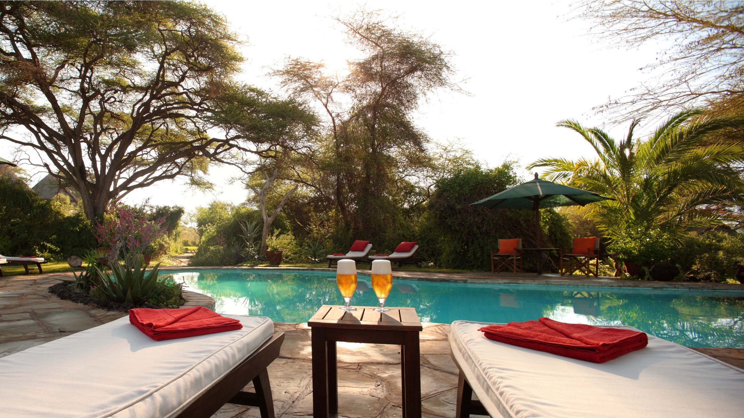 tortilis-camp-swimming-pool