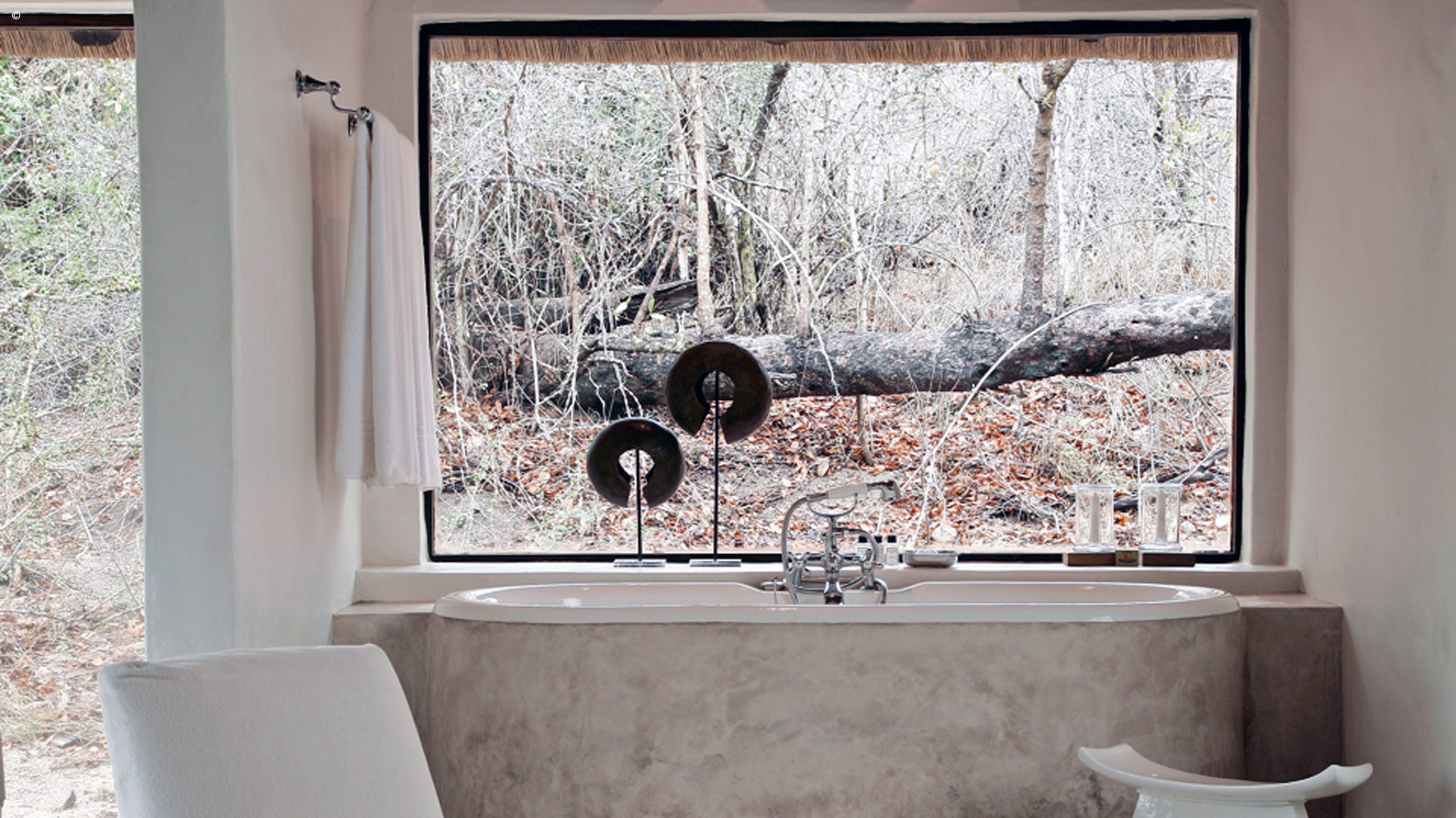 Tree Camp