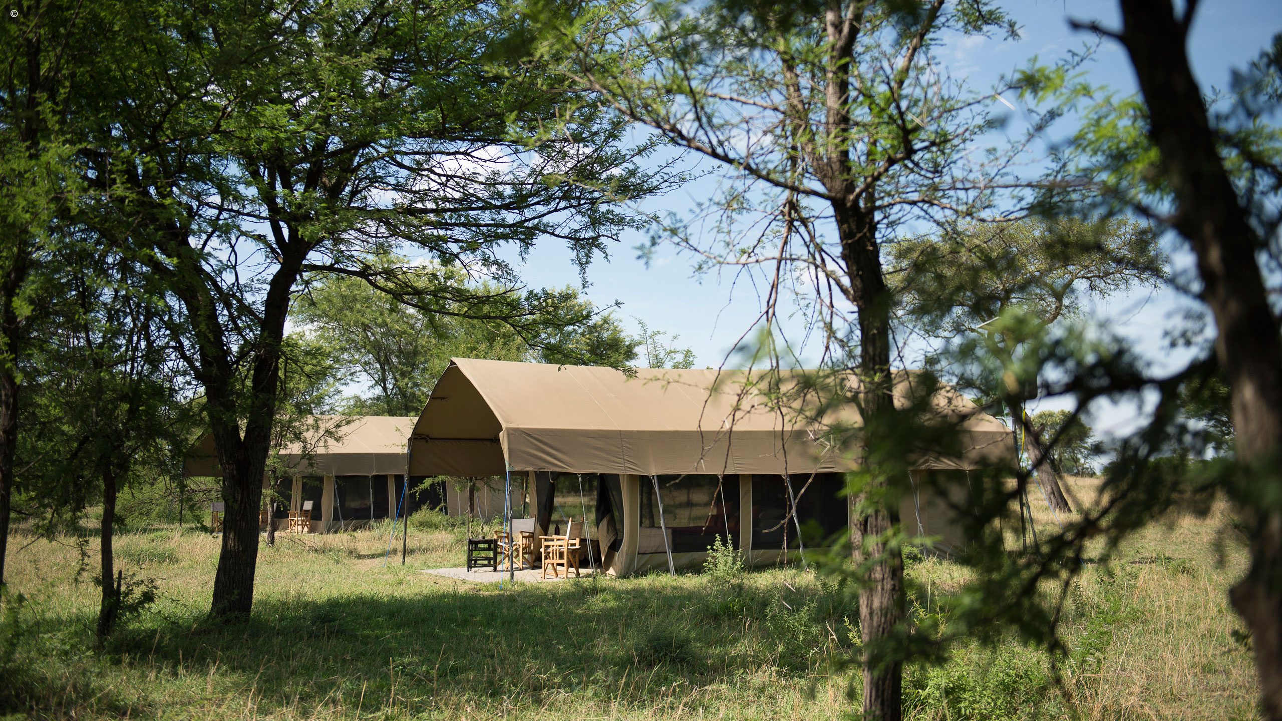 Ubuntu Camp