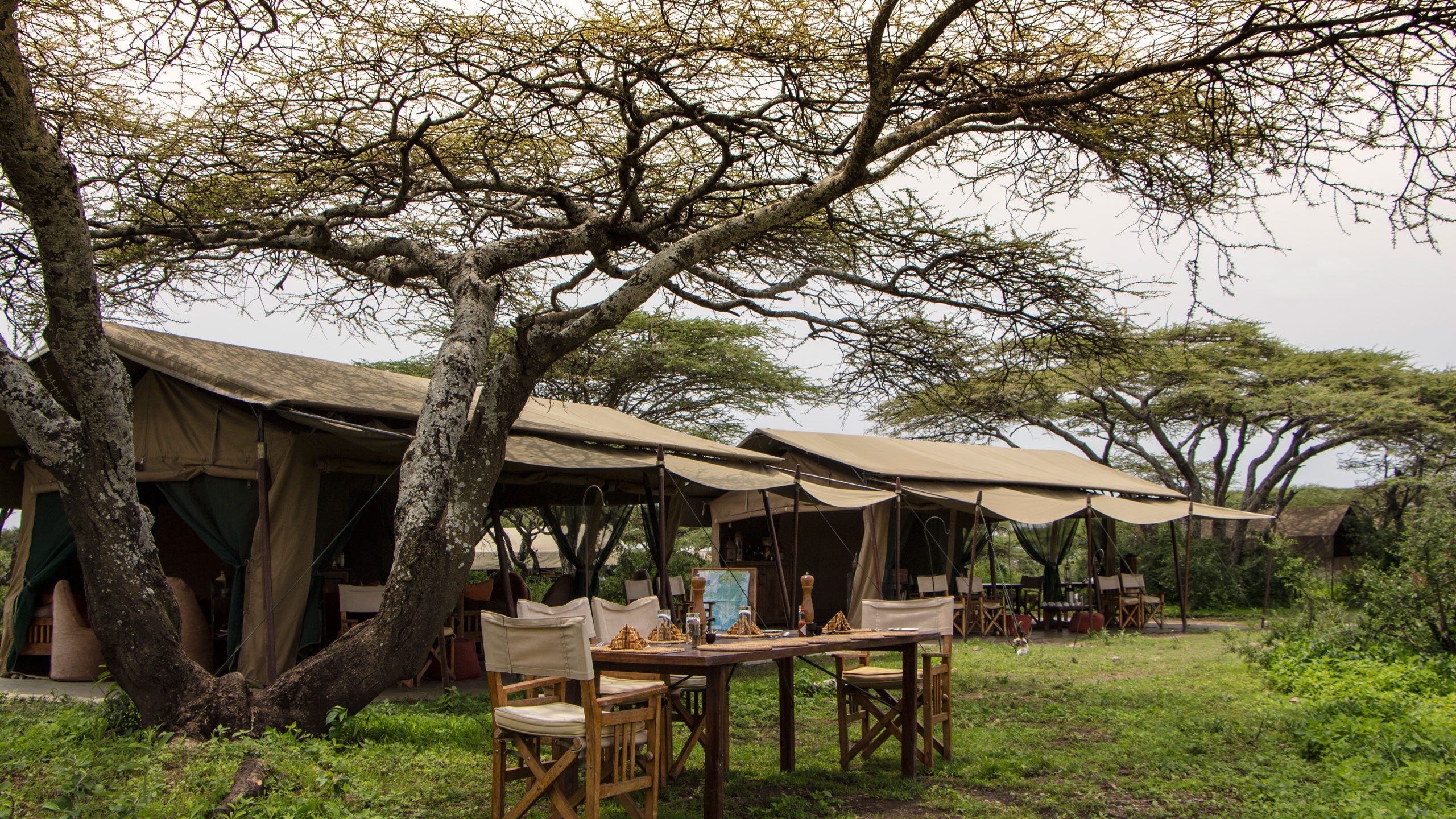 Ubuntu Camp