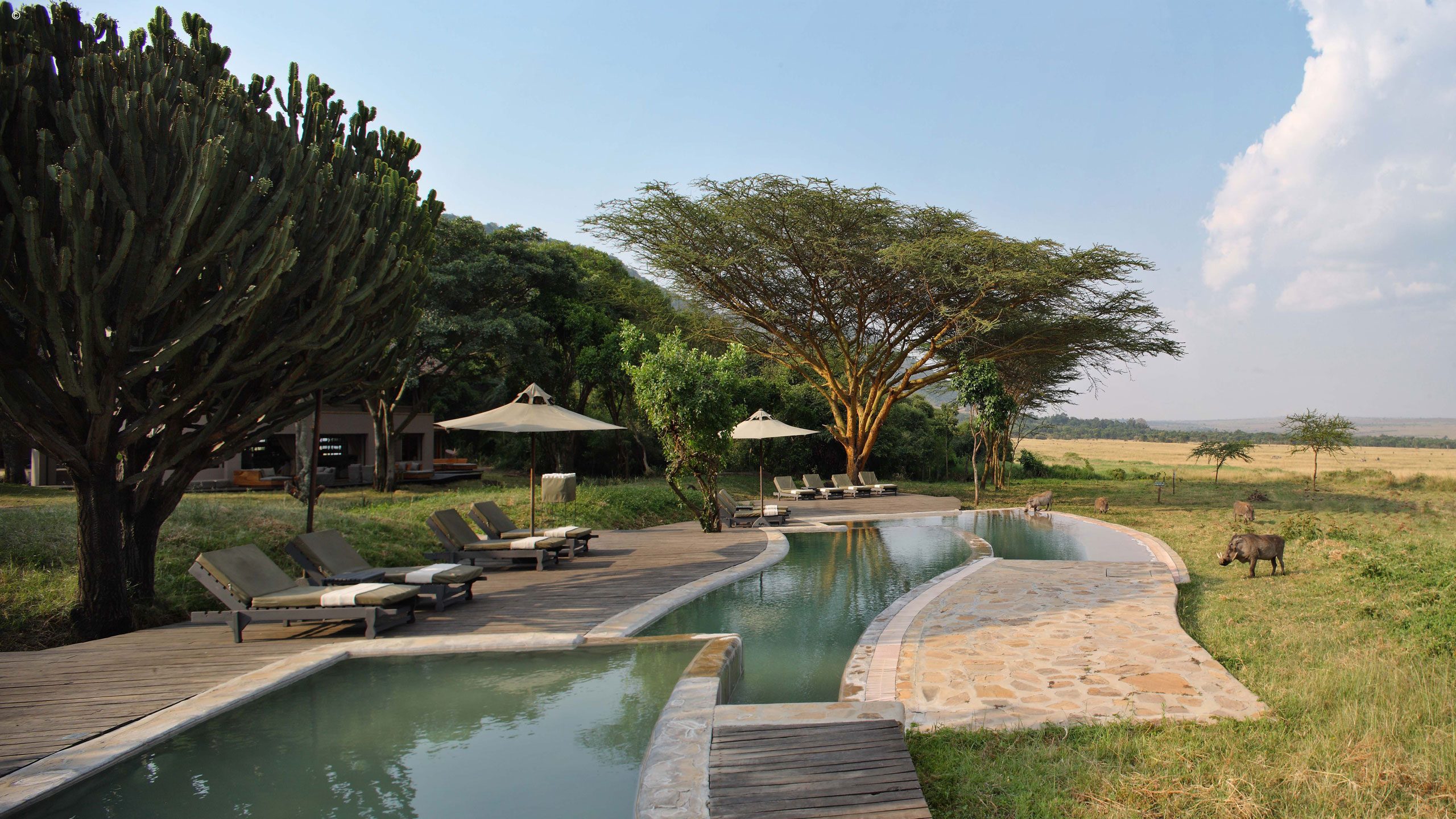 Kichwa Tembo Tented Camp