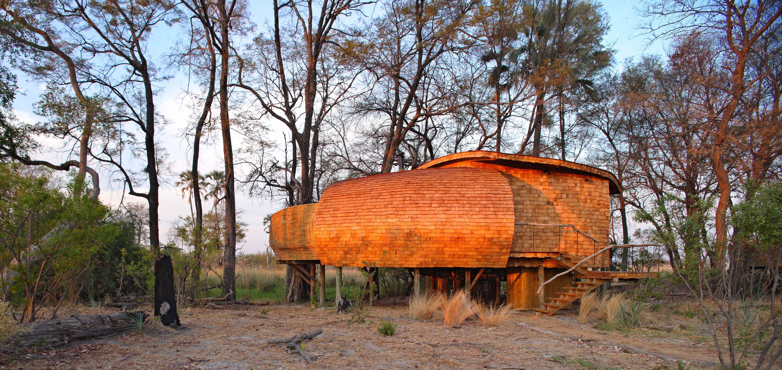 Sandibe Okavango Safari Lodge