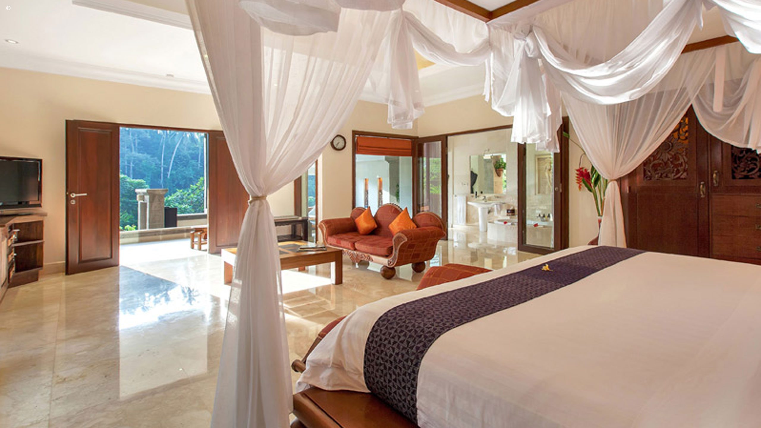 The Viceroy