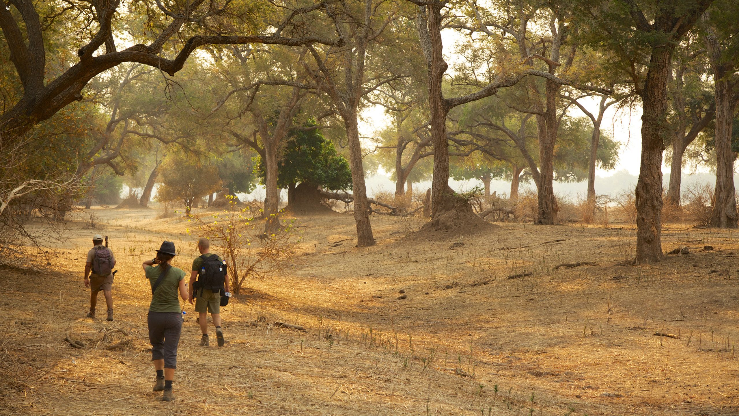 Camp Zambezi