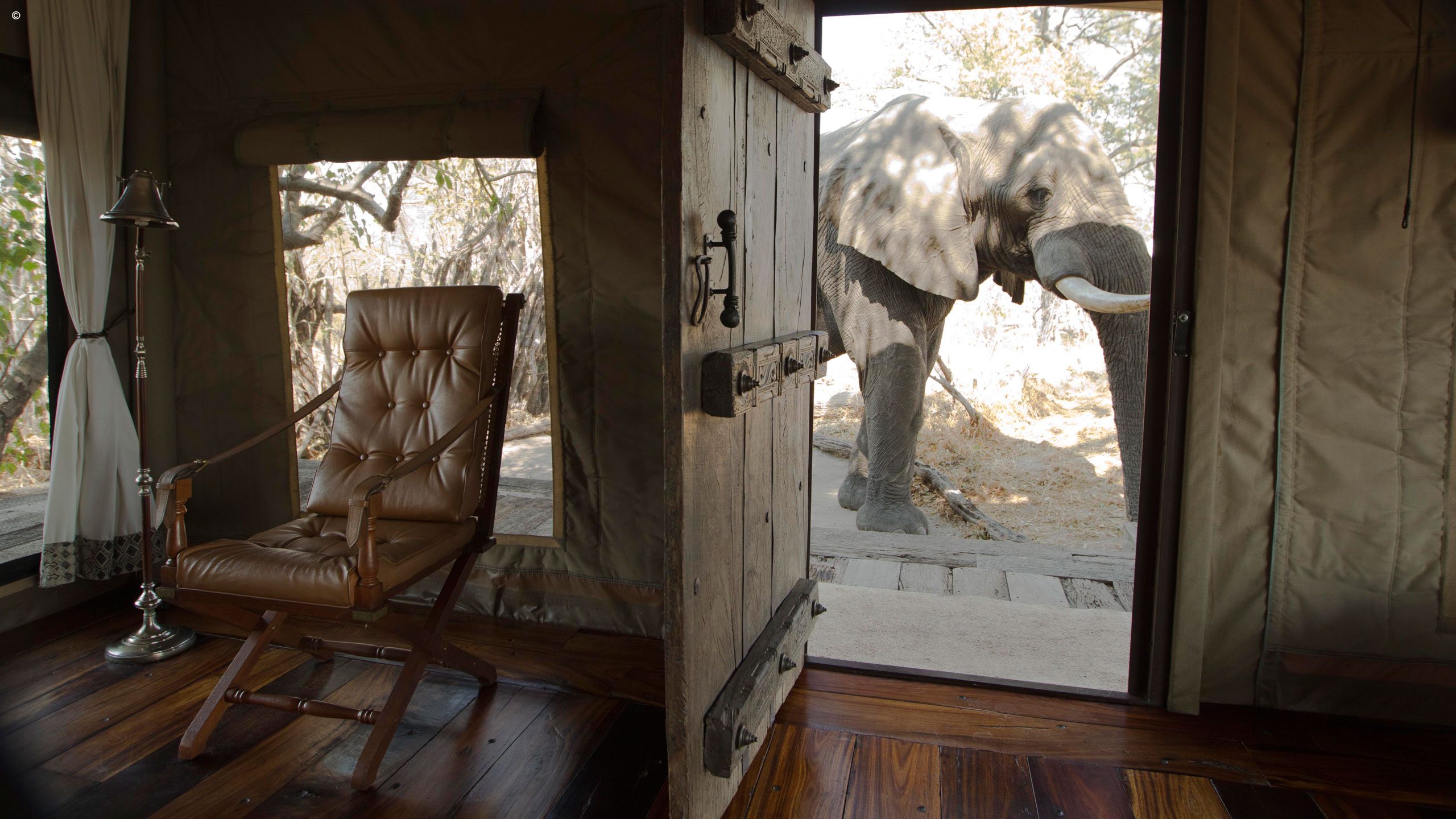 Zarafa Dhow Suites