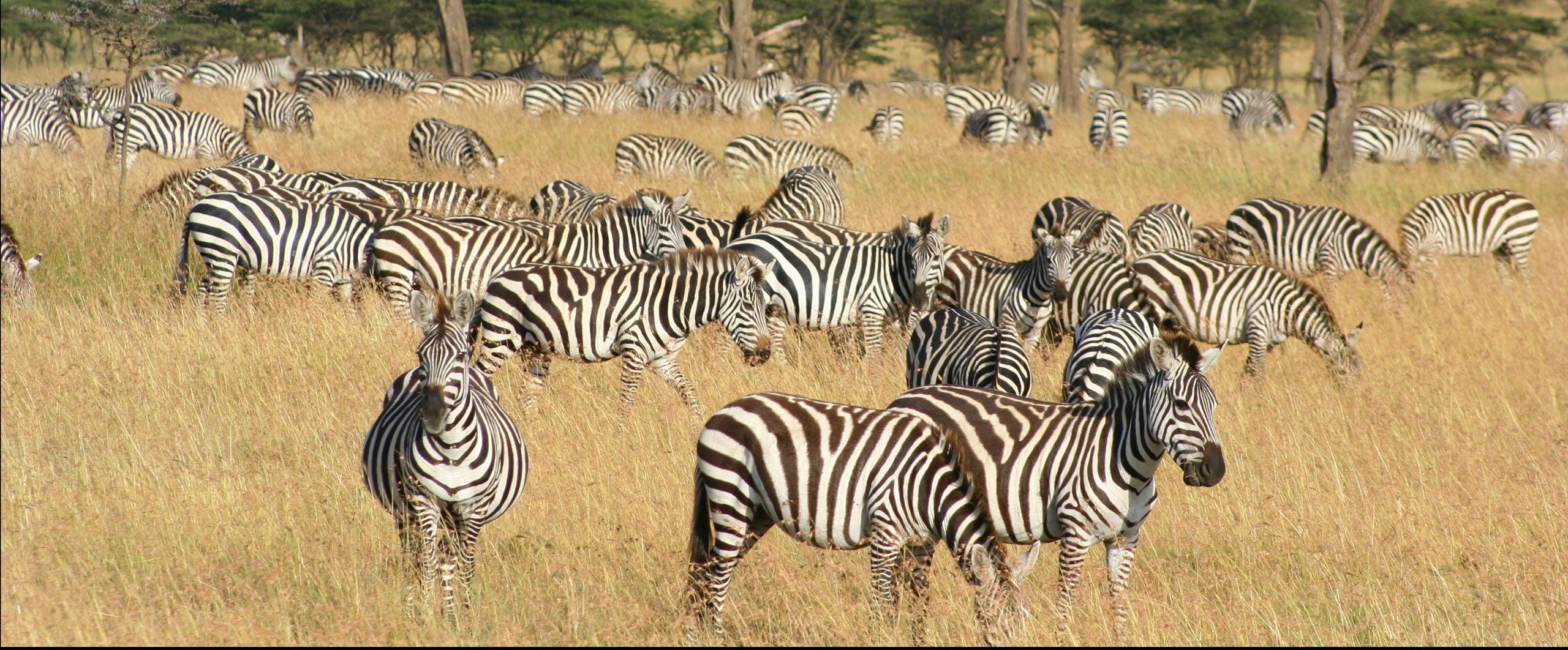 Naboisho Camp