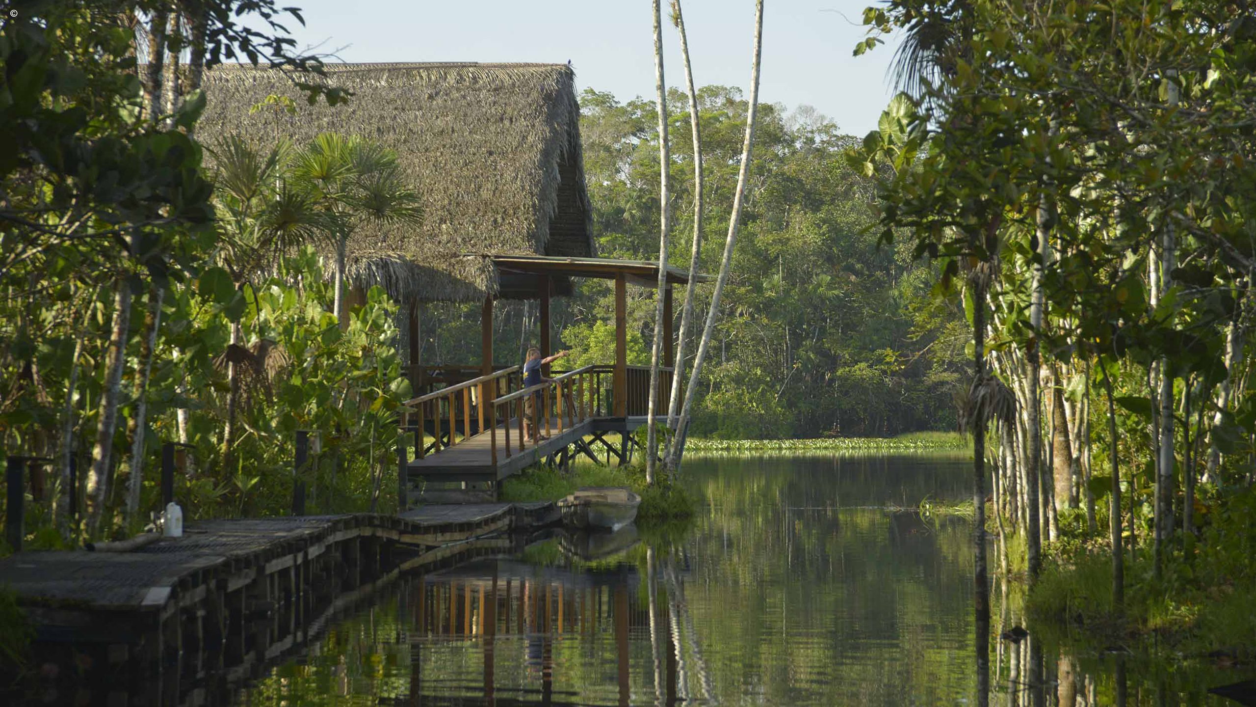 Sacha Lodge