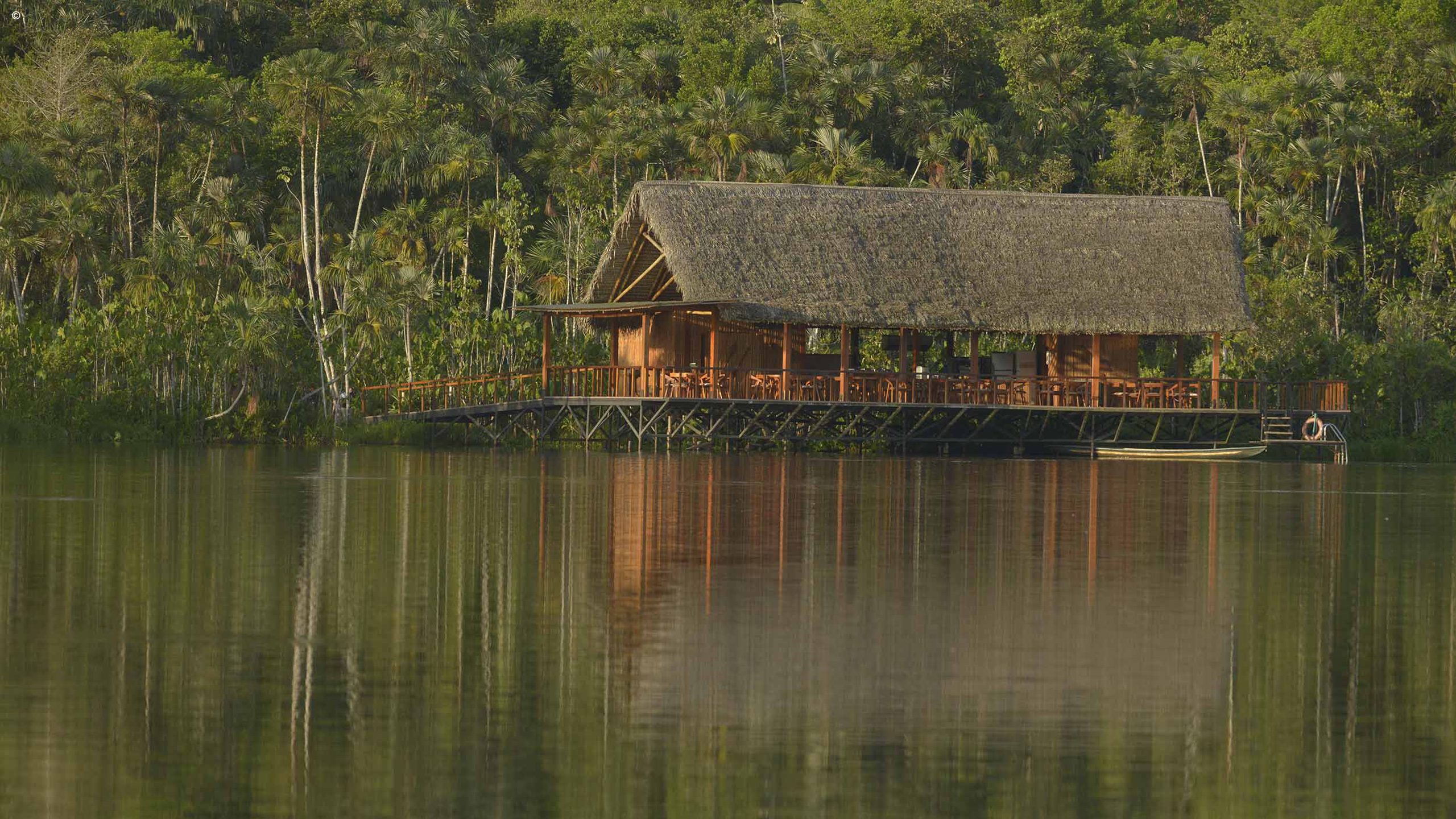 Sacha Lodge