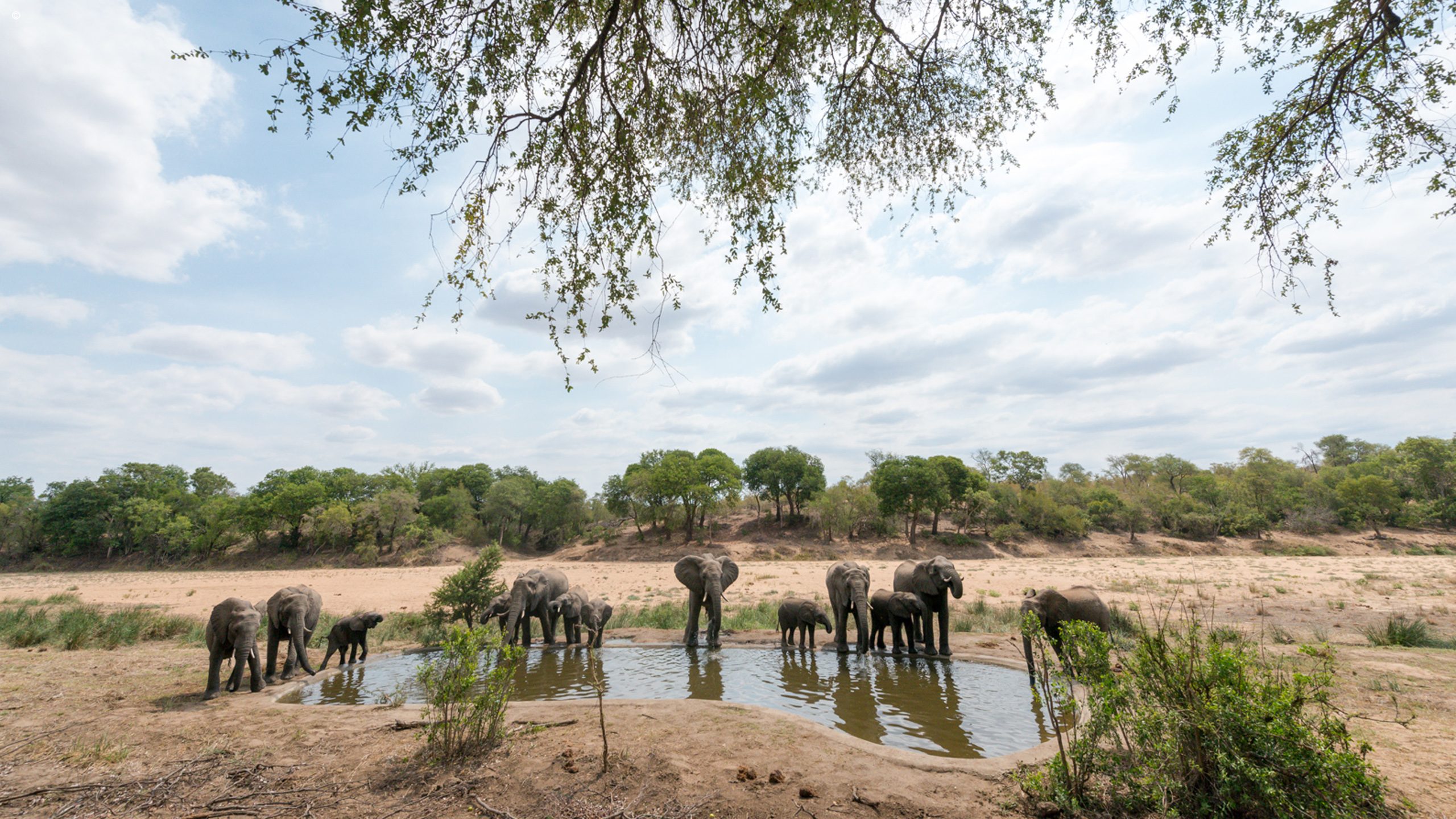 Simbavati River Lodge
