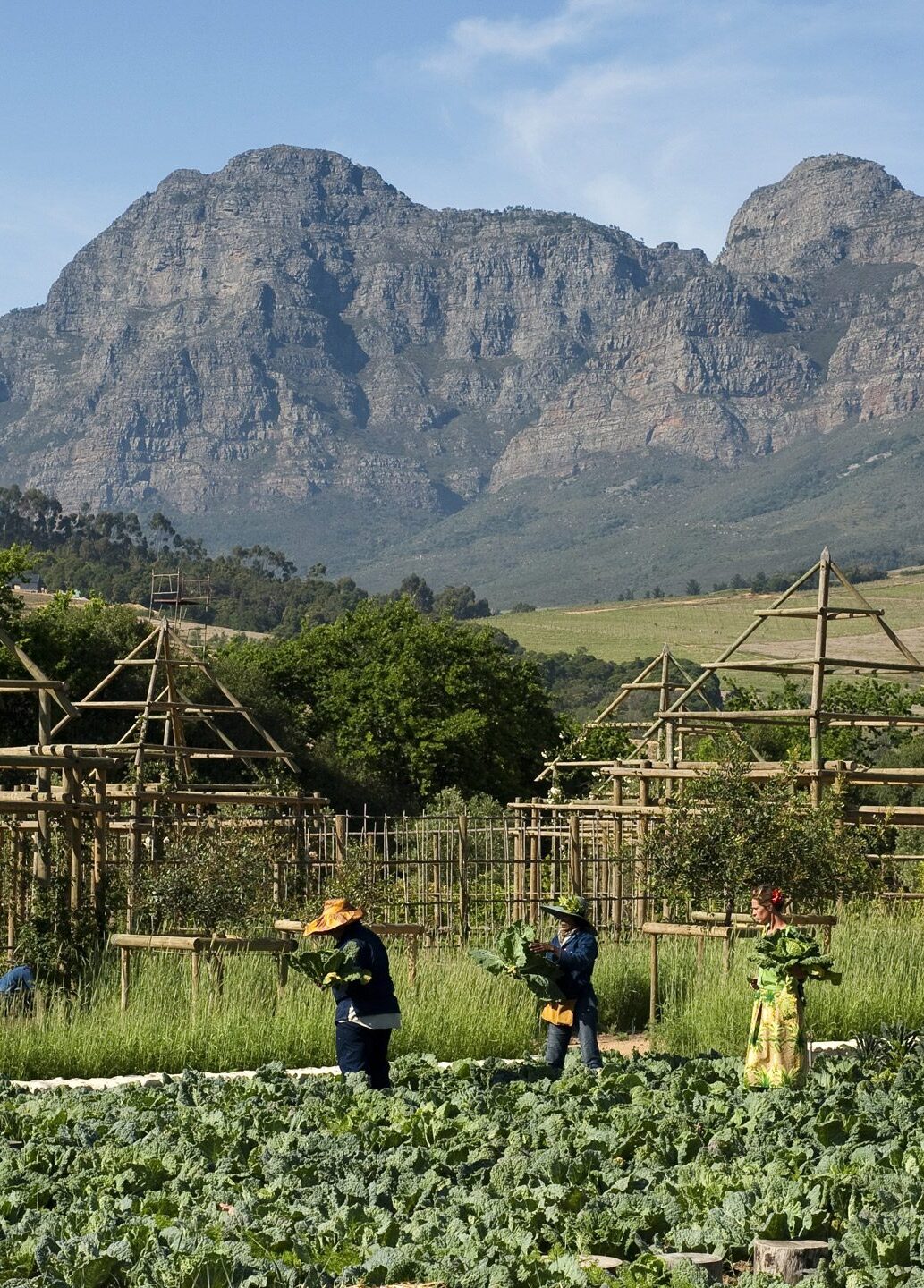 Babylonstoren