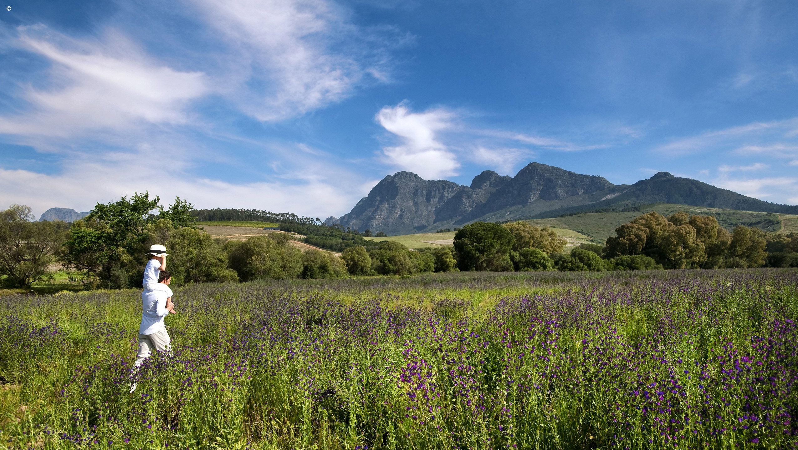 Babylonstoren