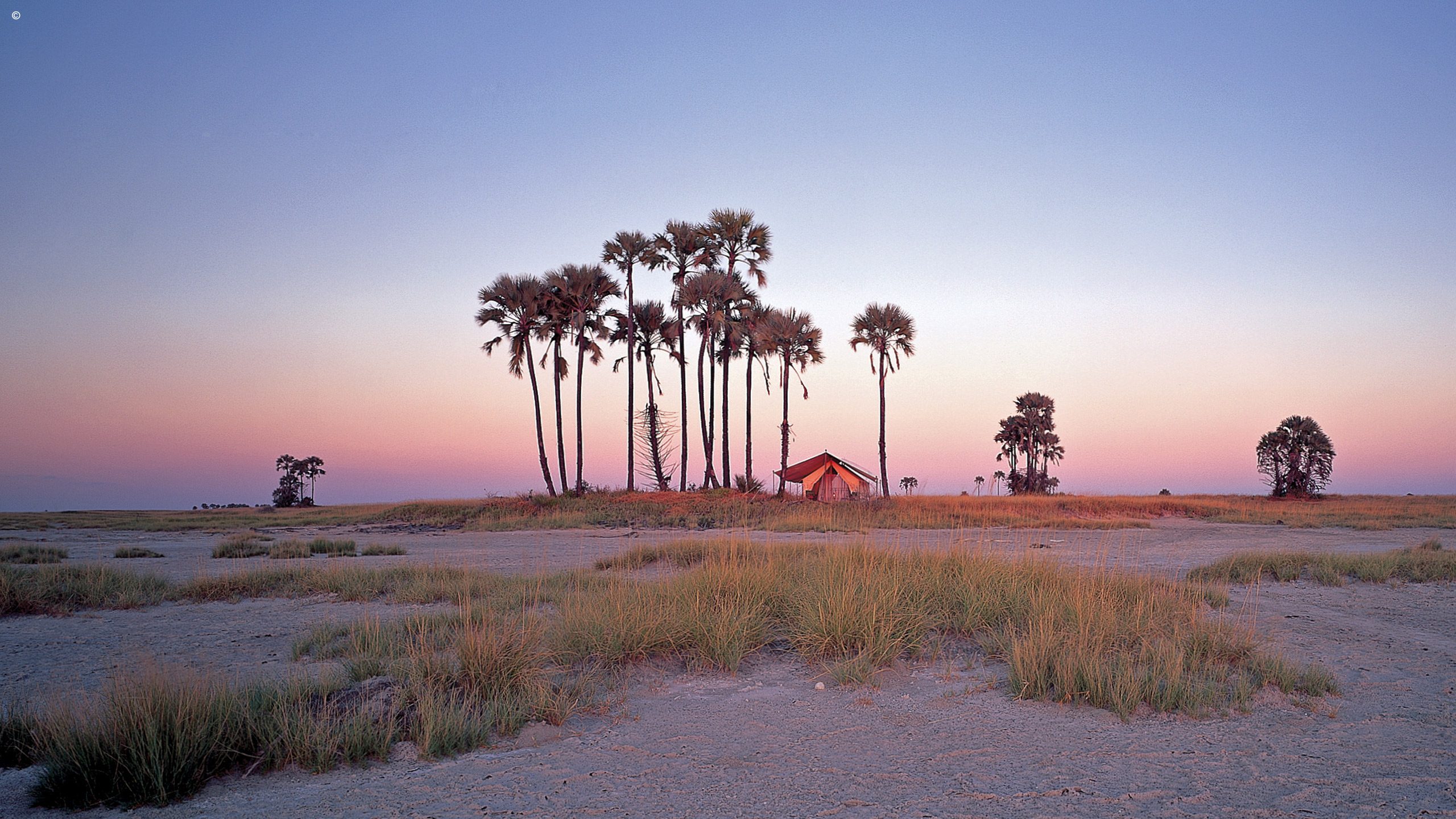 San Camp