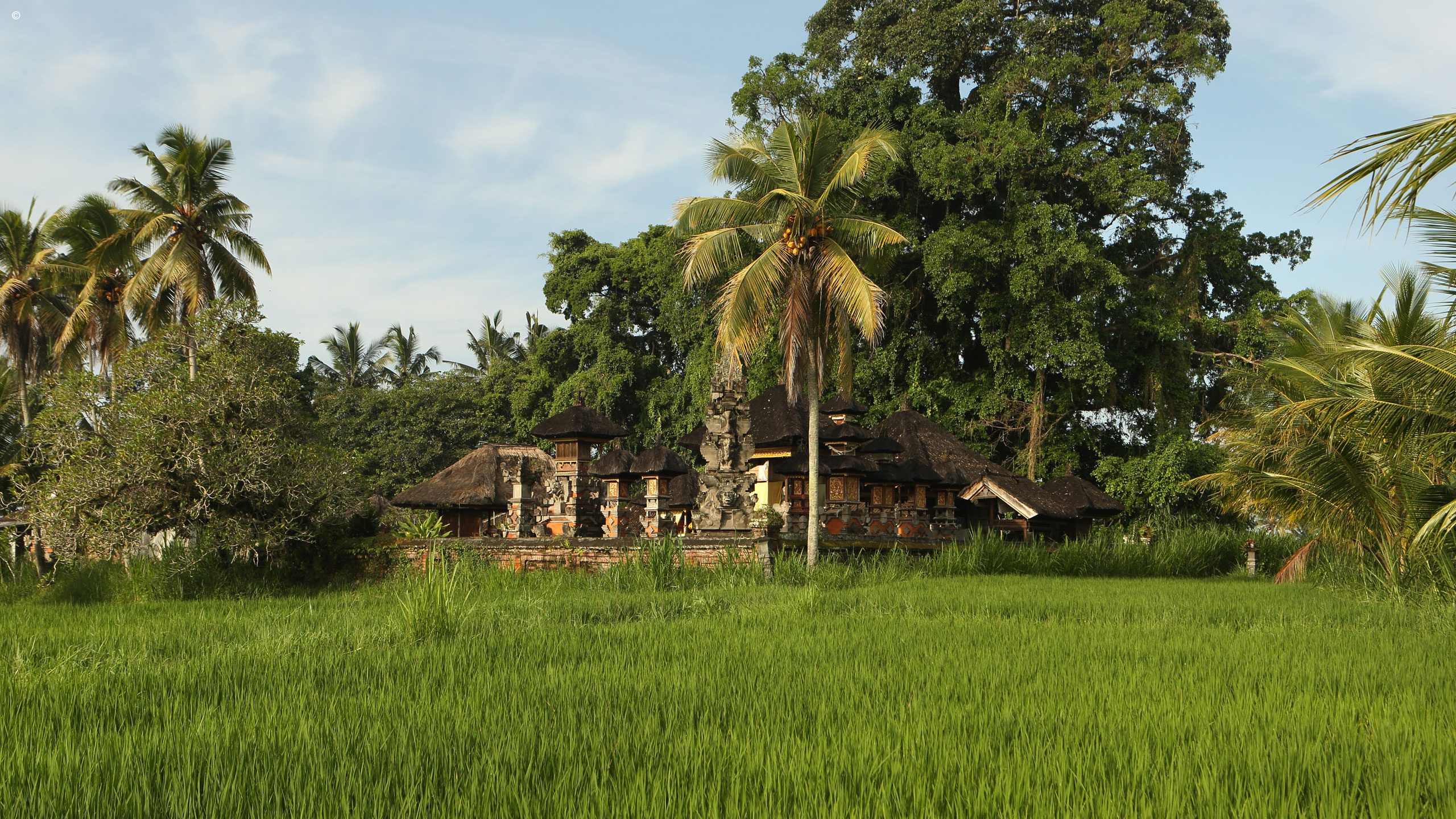 Alila Ubud