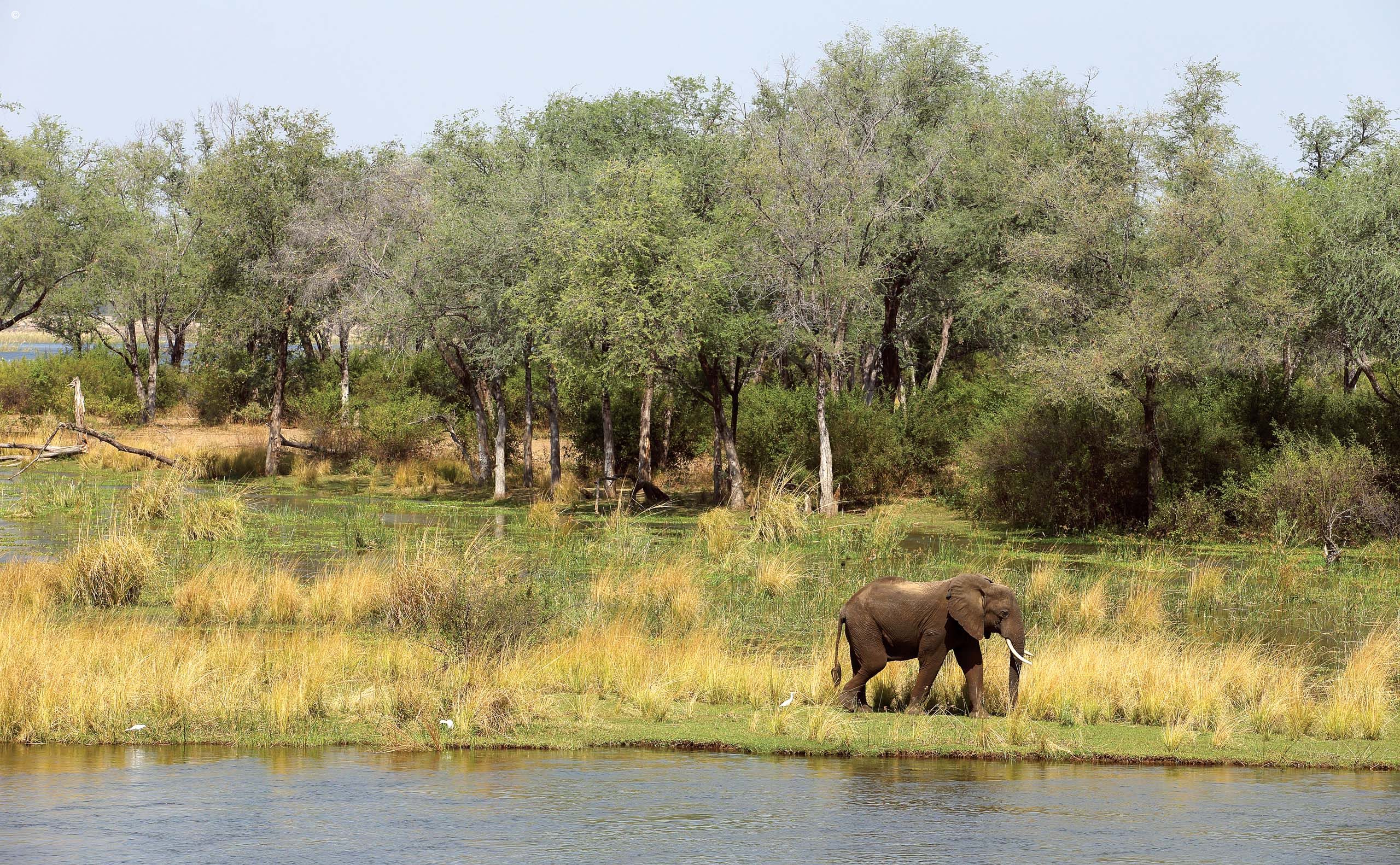 Amanzi Camp
