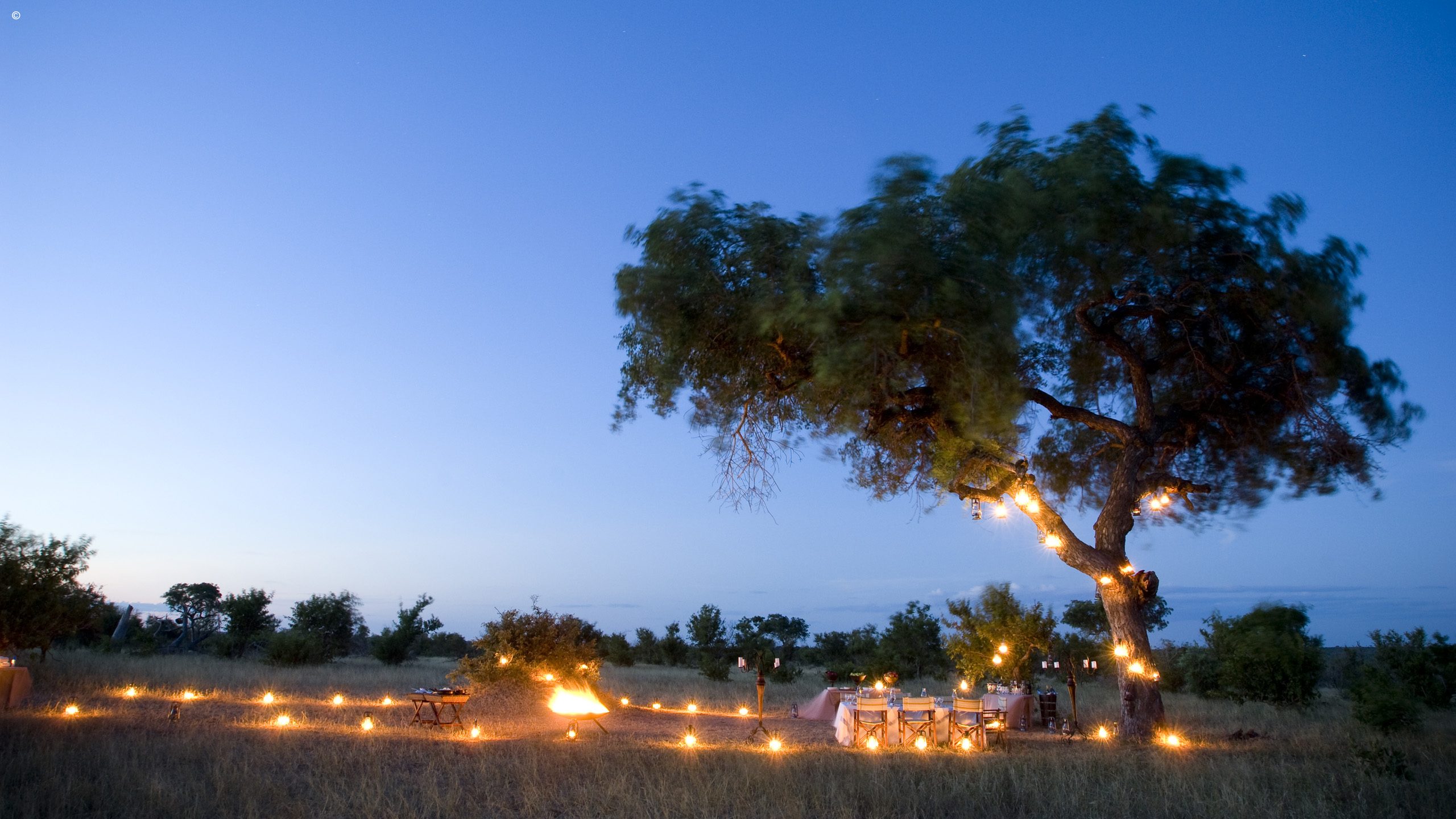 Ngala Safari Lodge