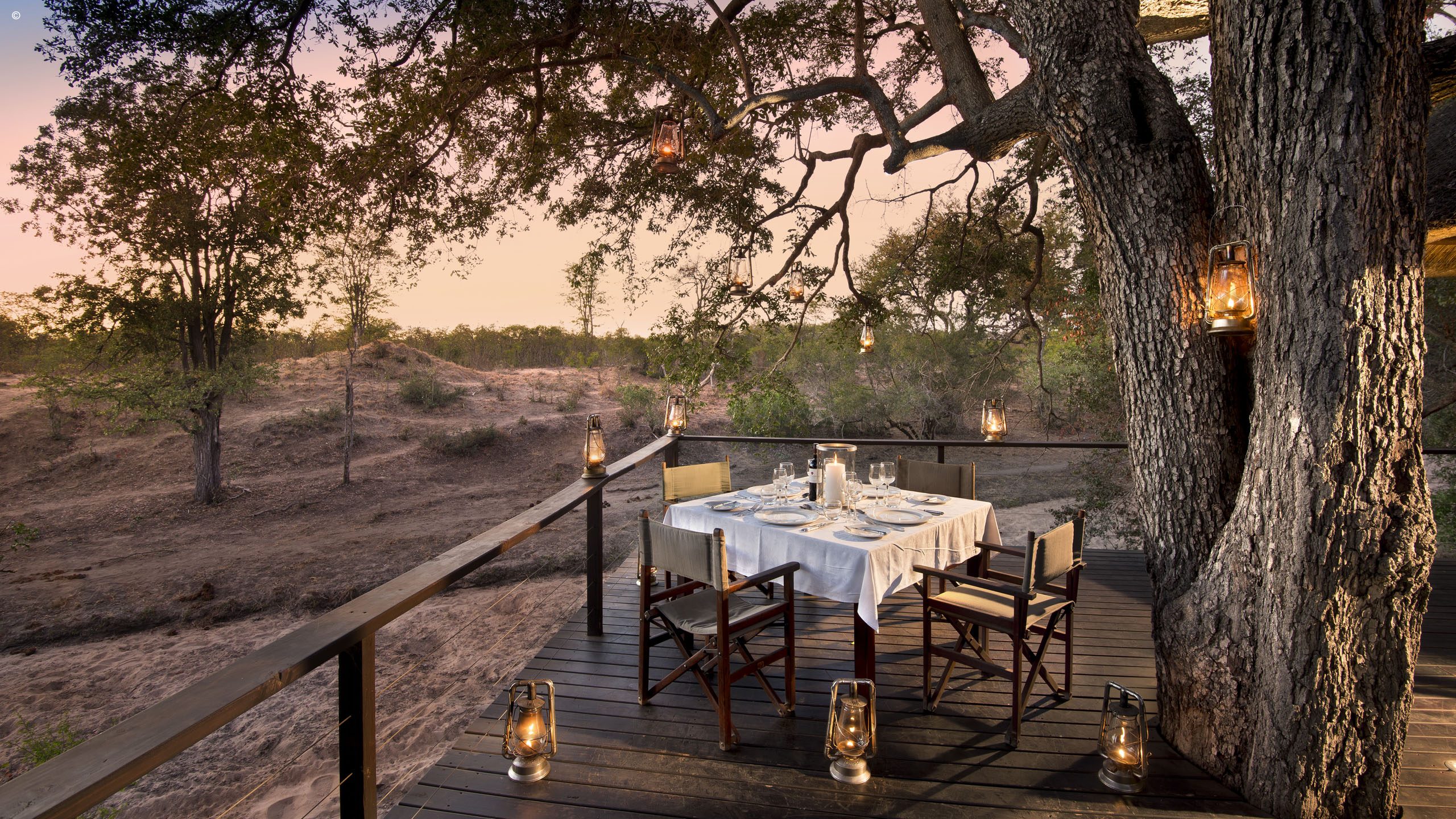 Ngala Safari Lodge