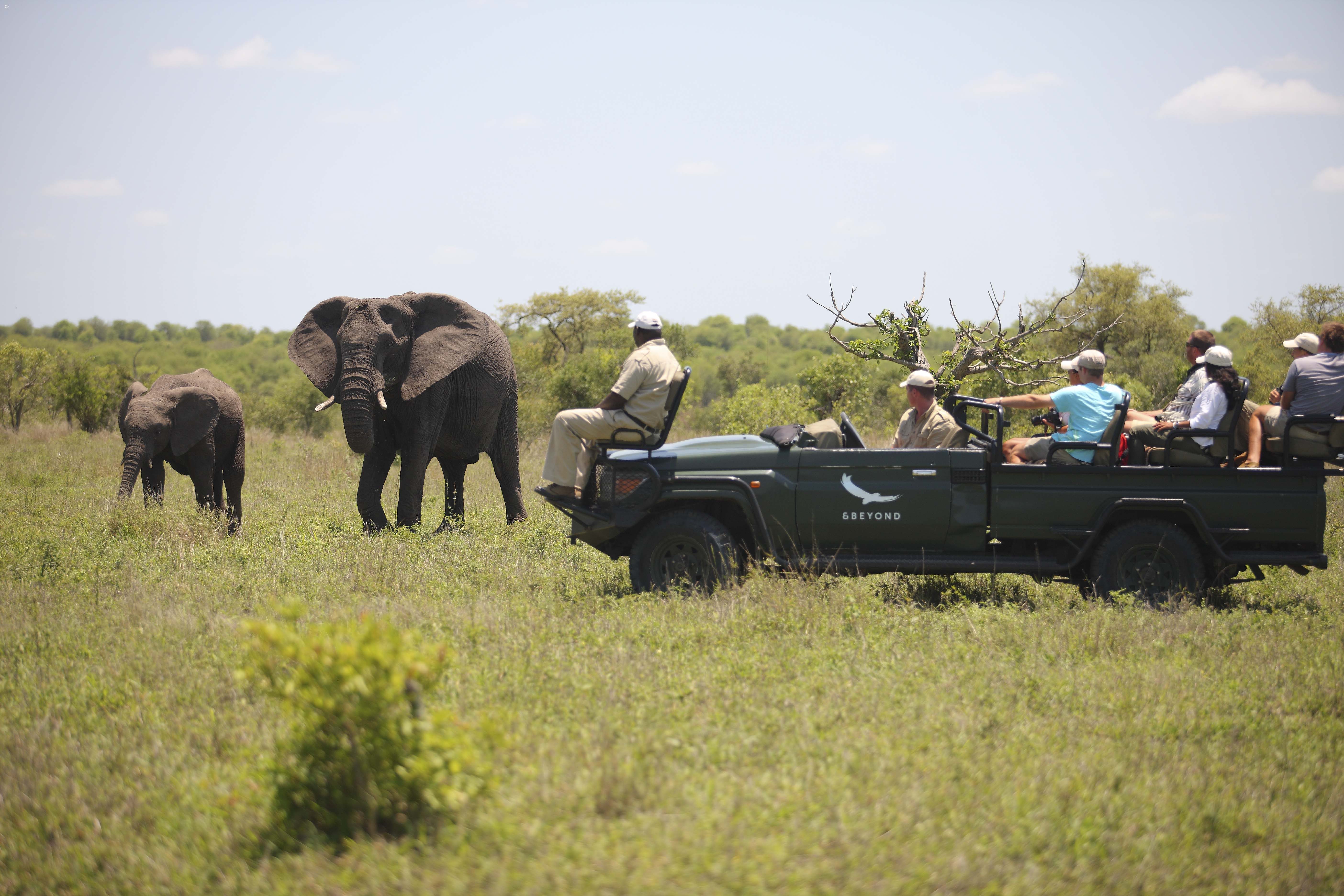 Ngala Safari Lodge