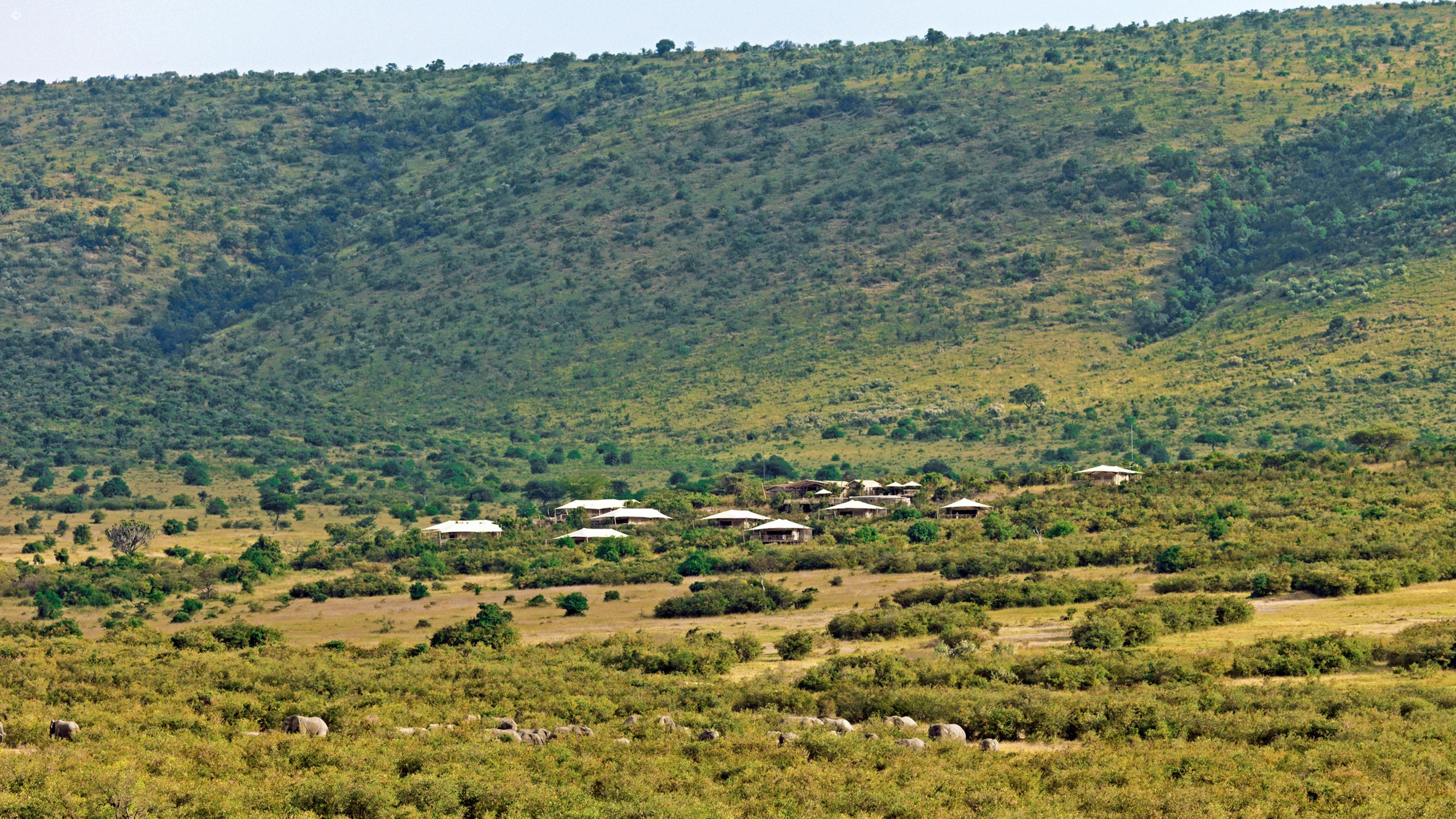Mara Bushtops