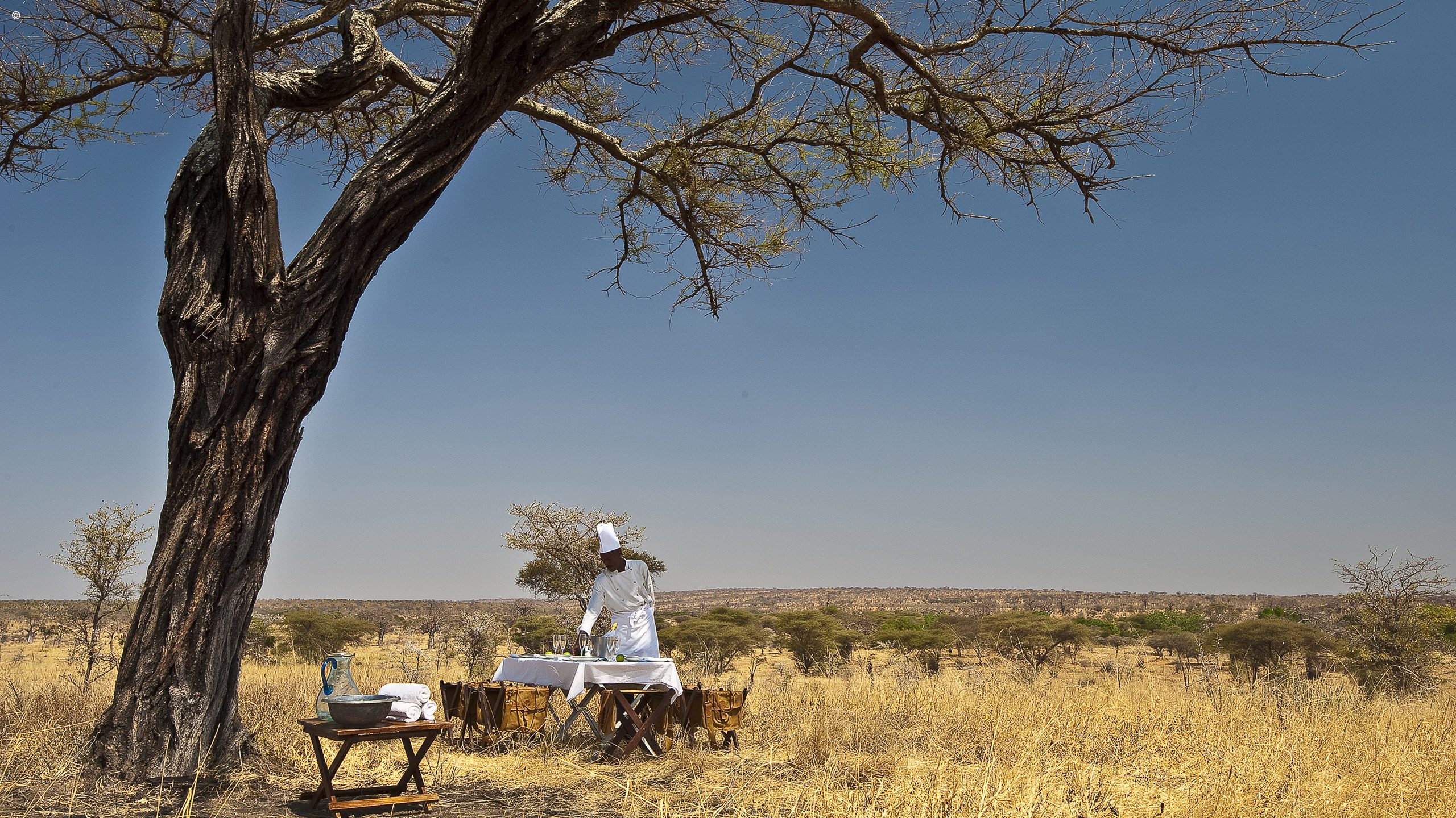 Tarangire Treetops