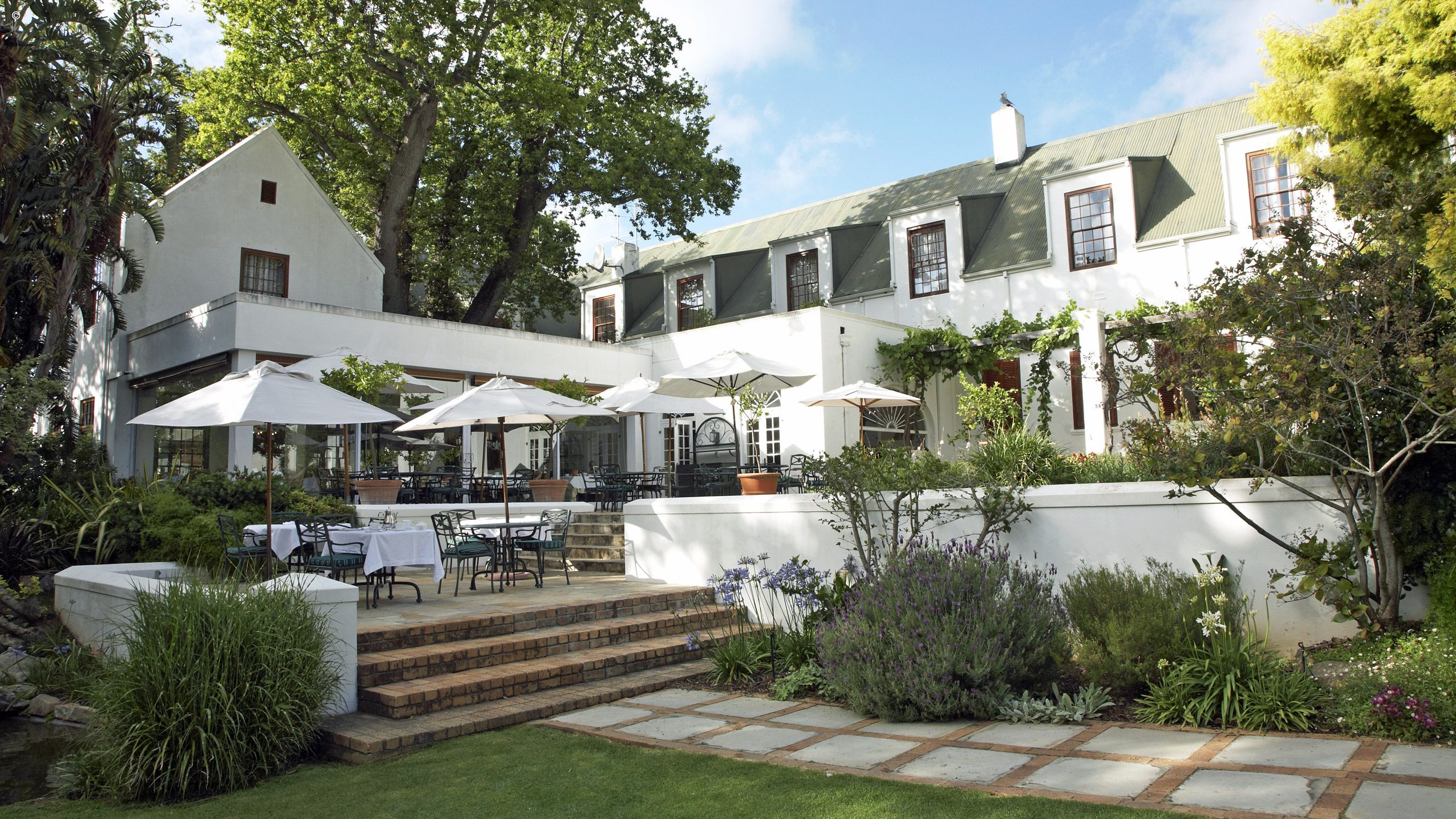 The Cellars-Hohenort