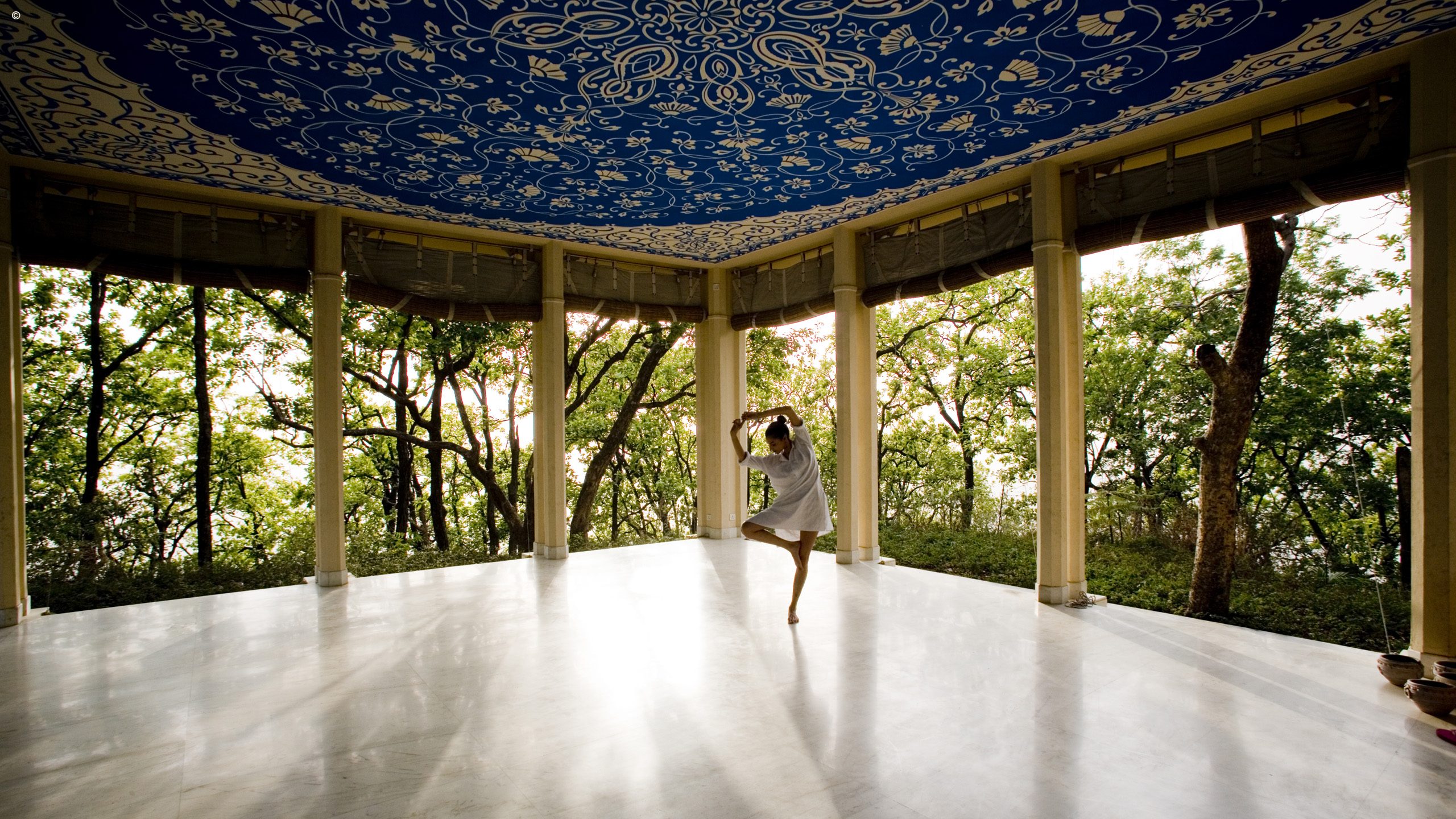 Ananda in the Himalayas