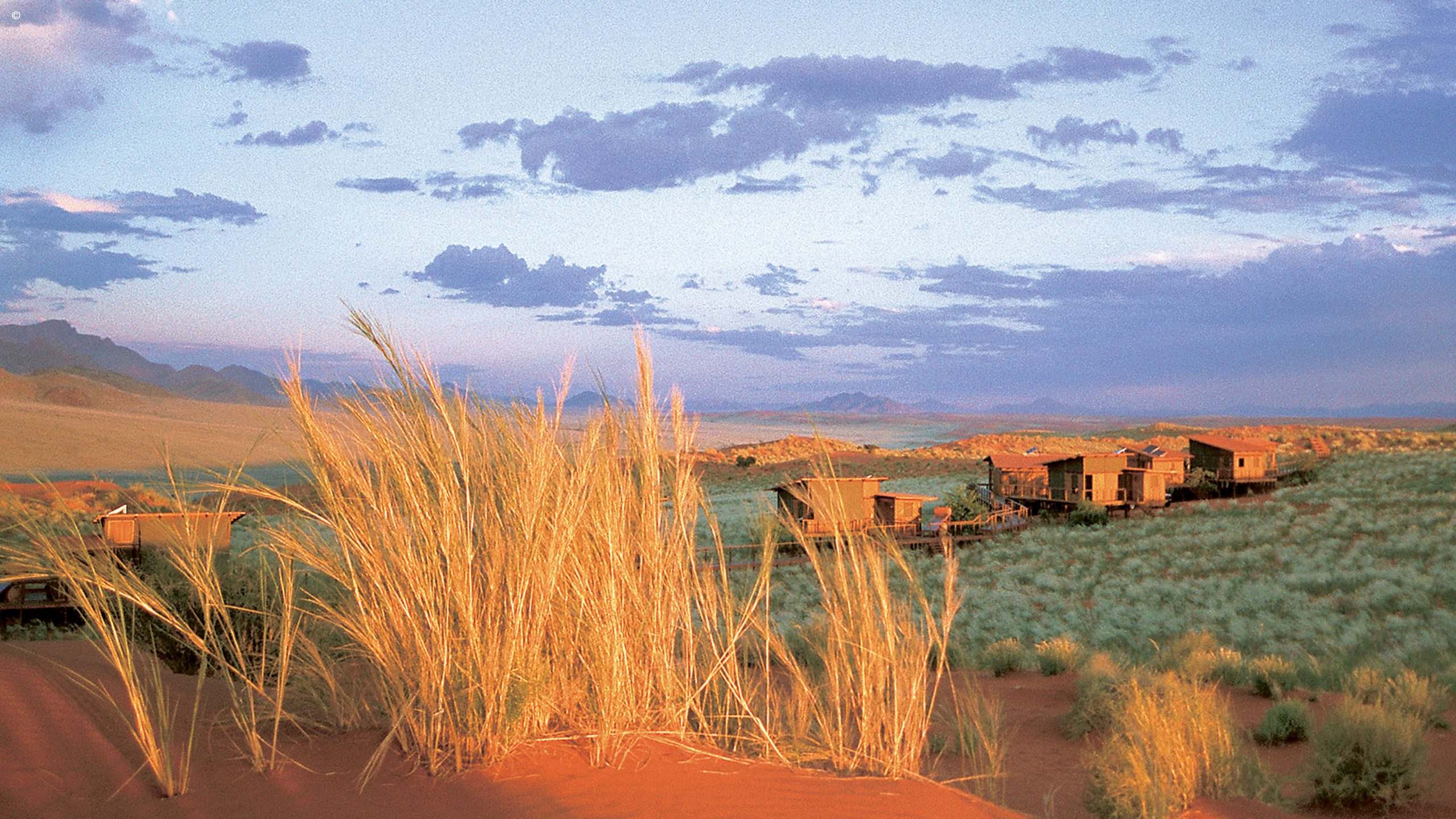 Dunes Lodge