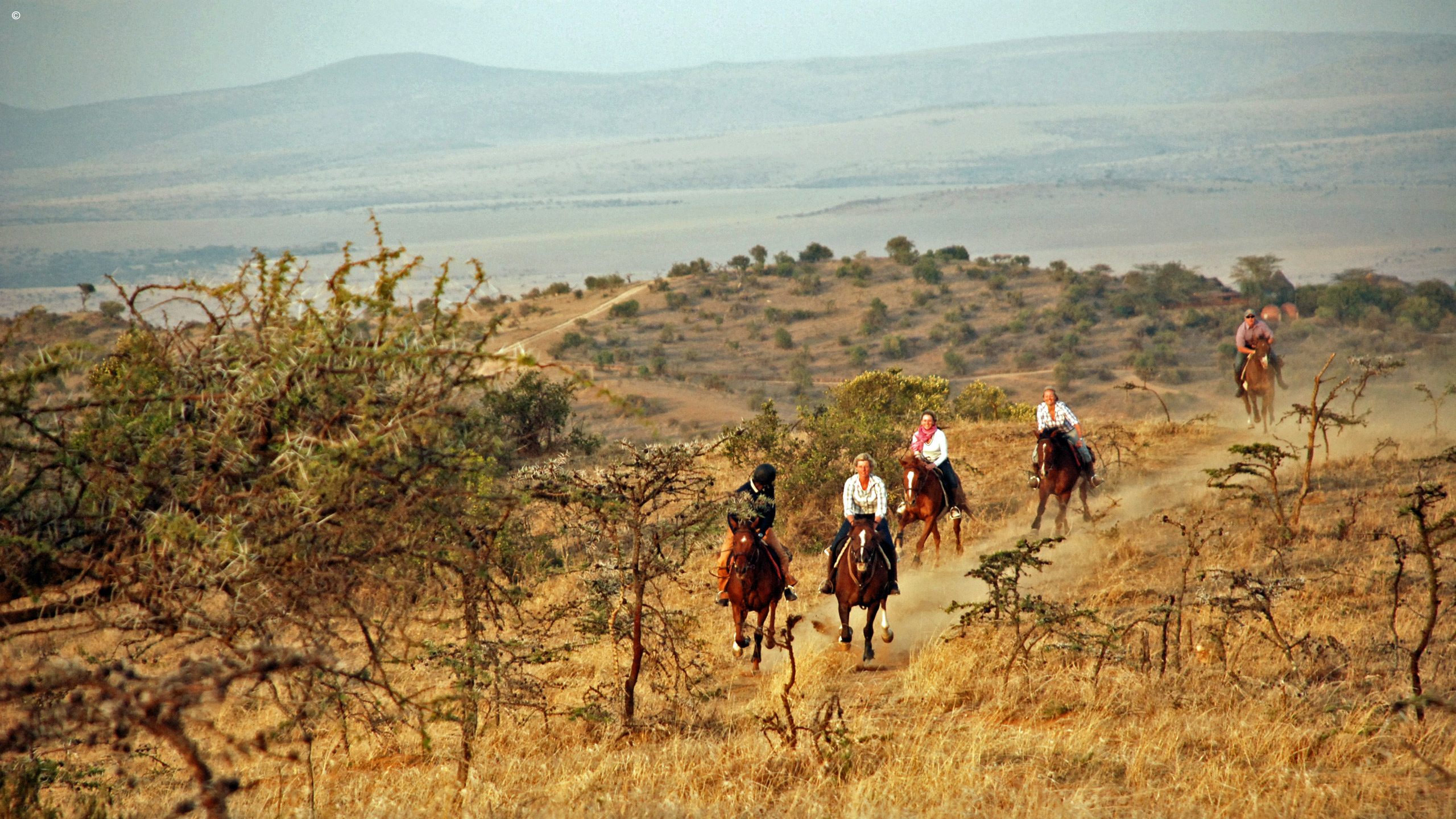 Borana Laragai House