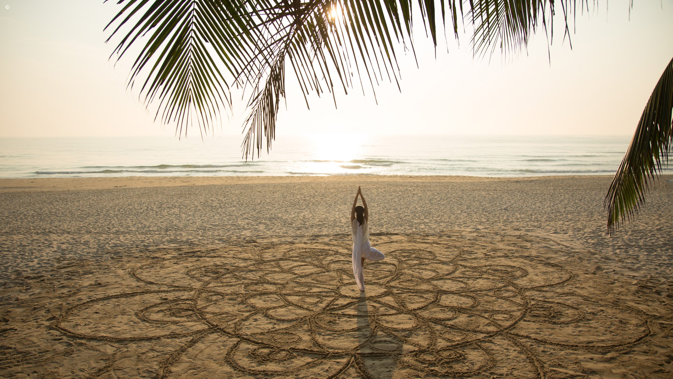 TIA Wellness Resort